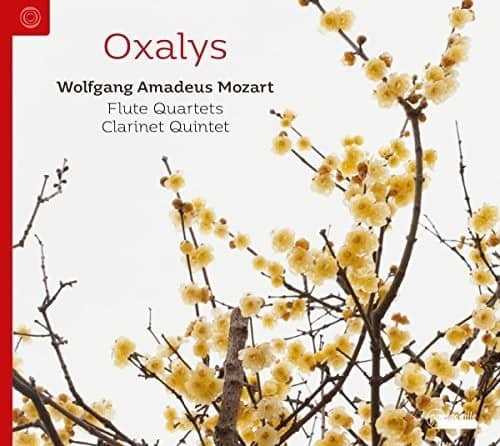 Mozart - Flute Quartets & Clarinet Quintets   - COMPACT DISCS [CD] price history on PriceWatchPro