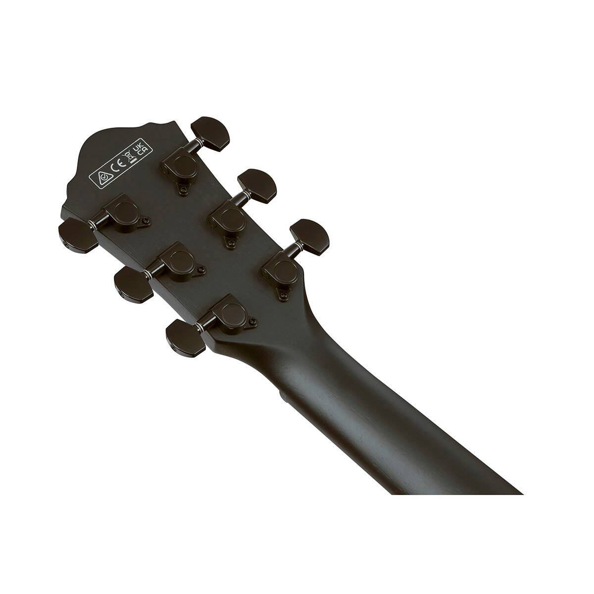 Alt View 8. Ibanez - Ibanez AEG Series AEG621 Acoustic Electric Guitar, Black Out.