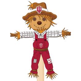 Fan Creations - Indiana Hoosiers 12" Scarecrow Yard Stake - Multicolor