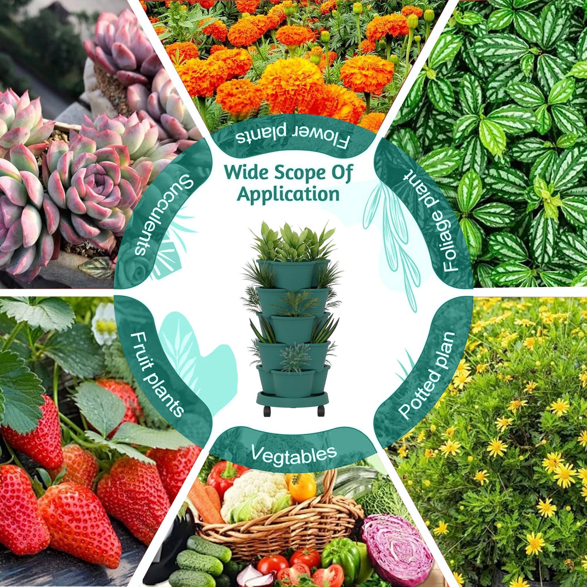 Wide Scope Of Application

- Succulents
- Foliage plants
- Fruit plants
- Vegetables
- Potted plants
