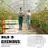 Large Growing Area, Easy Access, Simple Operation, WALK-IN GREENHOUSE, Water and fertilize without bending over, 292cm/9.6ft, 196cm/6.4ft, 190cm/6.2ft.