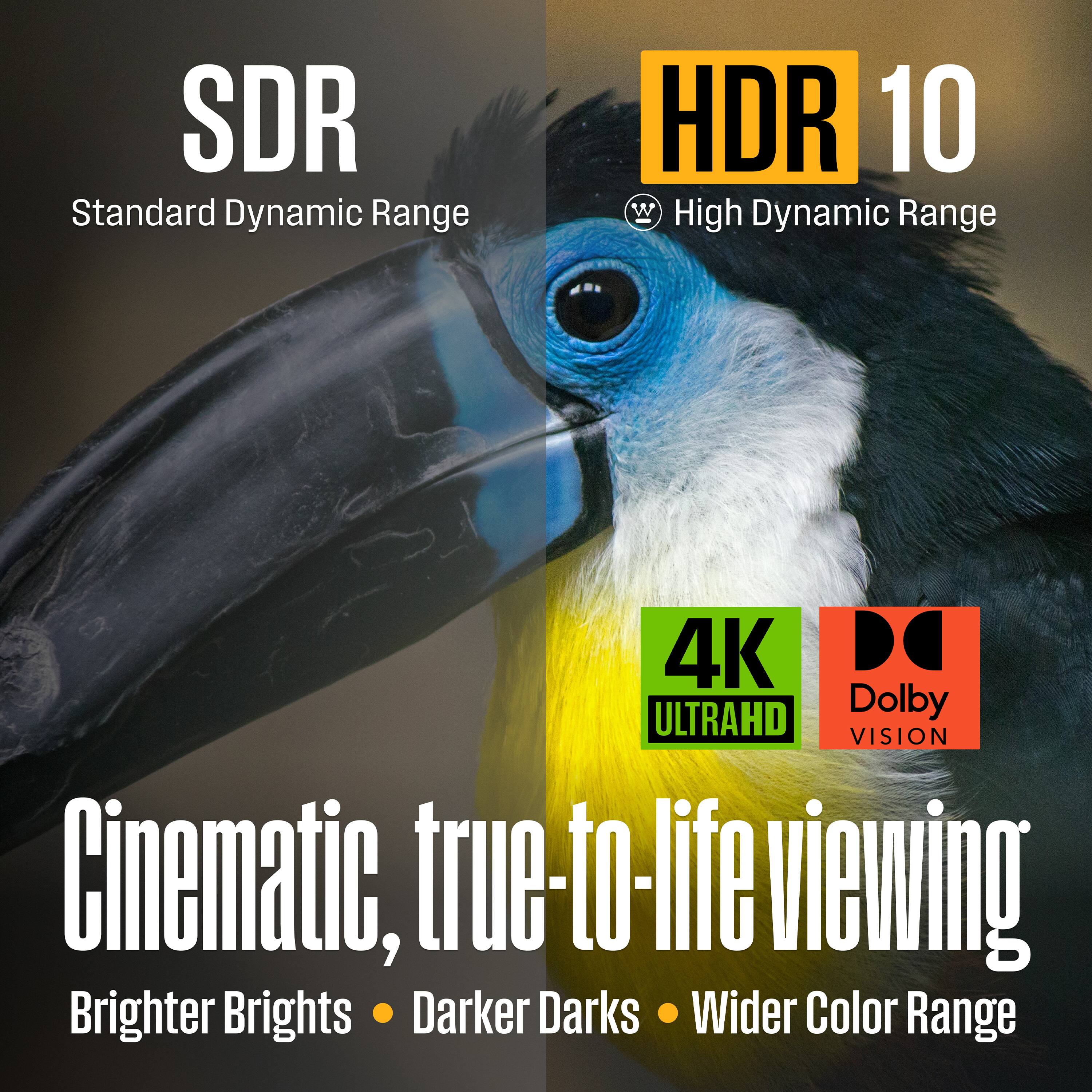 SDR  
Standard Dynamic Range  

HDR 10  
High Dynamic Range  

4K  
ULTRAHD  

Dolby VISION  

Cinematic, true-to-life viewing  
Brighter Brights • Darker Darks • Wider Color Range