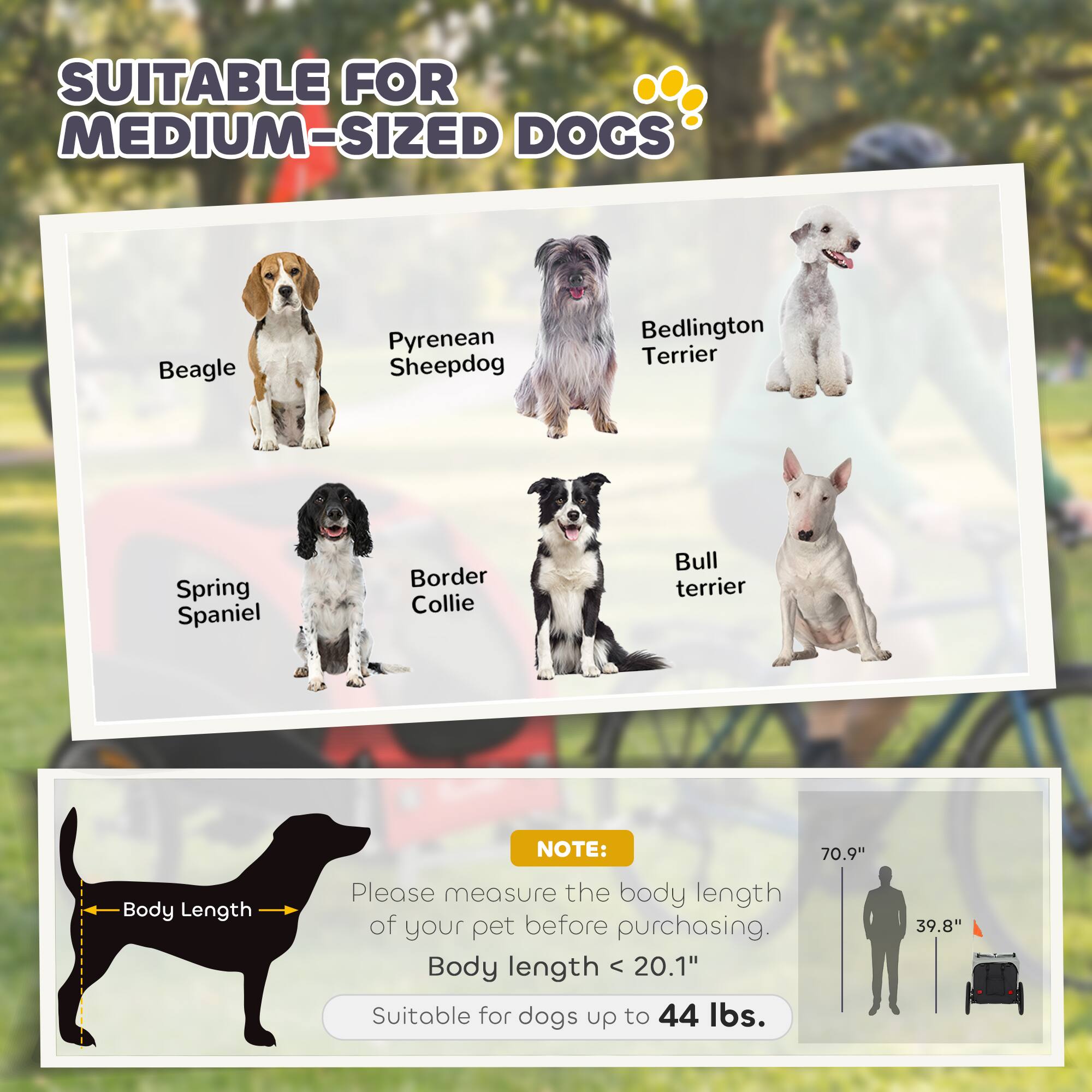 SUITABLE FOR MEDIUM-SIZED DOGS

Beagle
Pyrenean Sheepdog
Bedlington Terrier
Spring Spaniel
Border Collie
Bull Terrier

NOTE: Please measure the body length of your pet before purchasing. Body length < 20.1" Suitable for dogs up to 44 lbs.