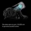 The motor spins at up to 110,000 rpm to generate powerful suction.