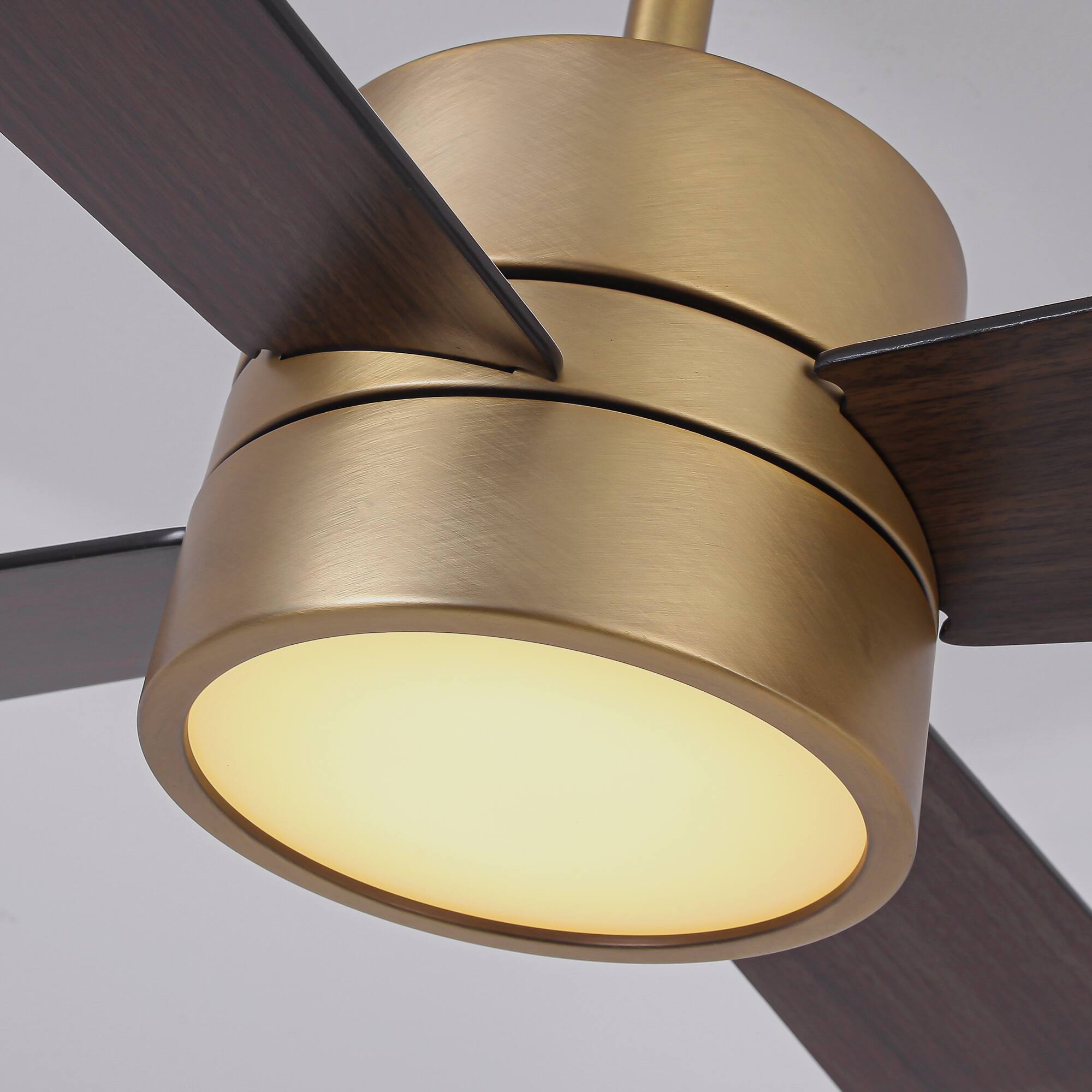Parrot Uncle 52 Inch RGB Smart Ceiling Fan with Lights