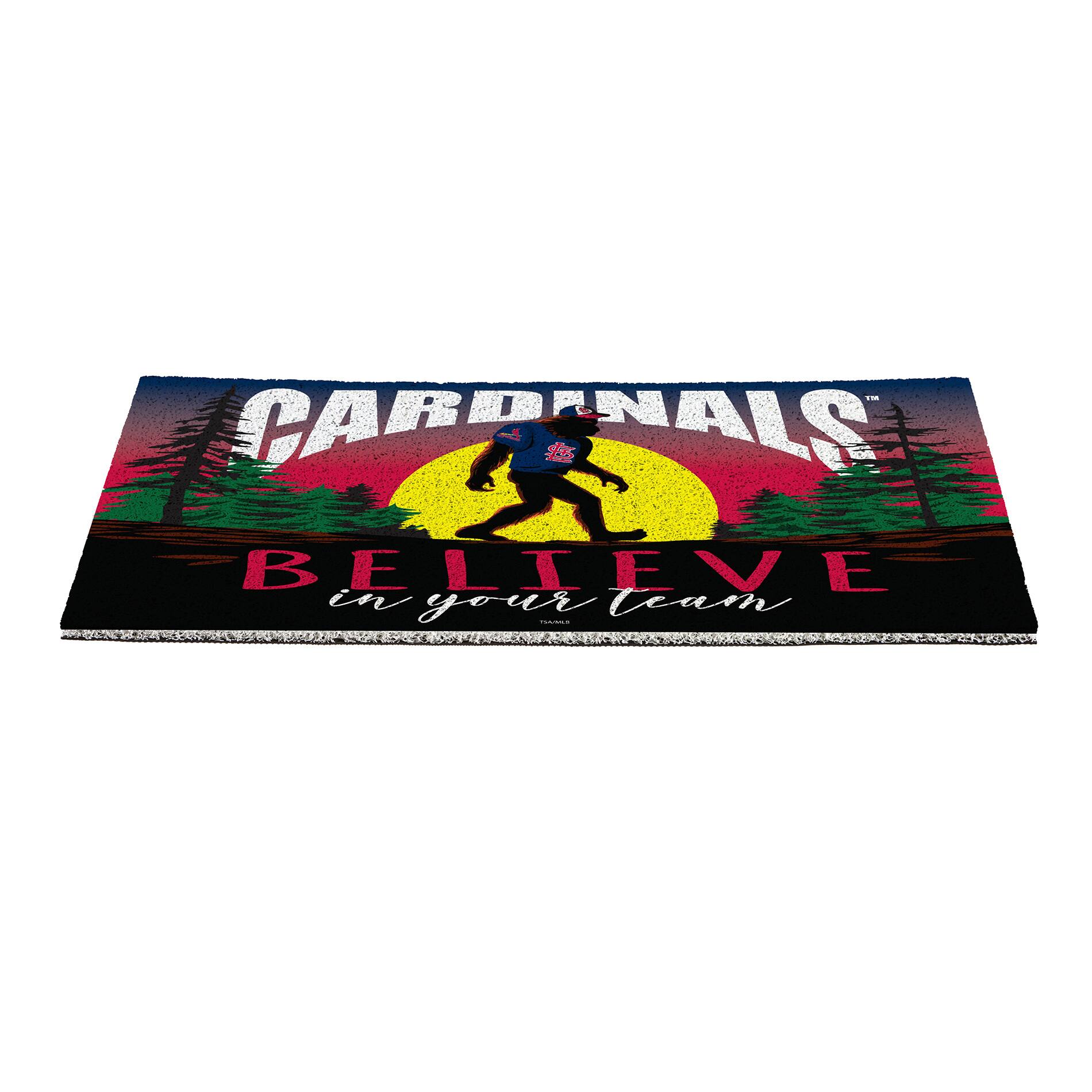 CARDINALS  
BELIEVE  
in your team