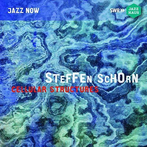 Steffen Schorn - Cellular Structures   - COMPACT DISCS [CD] price history on PriceWatchPro