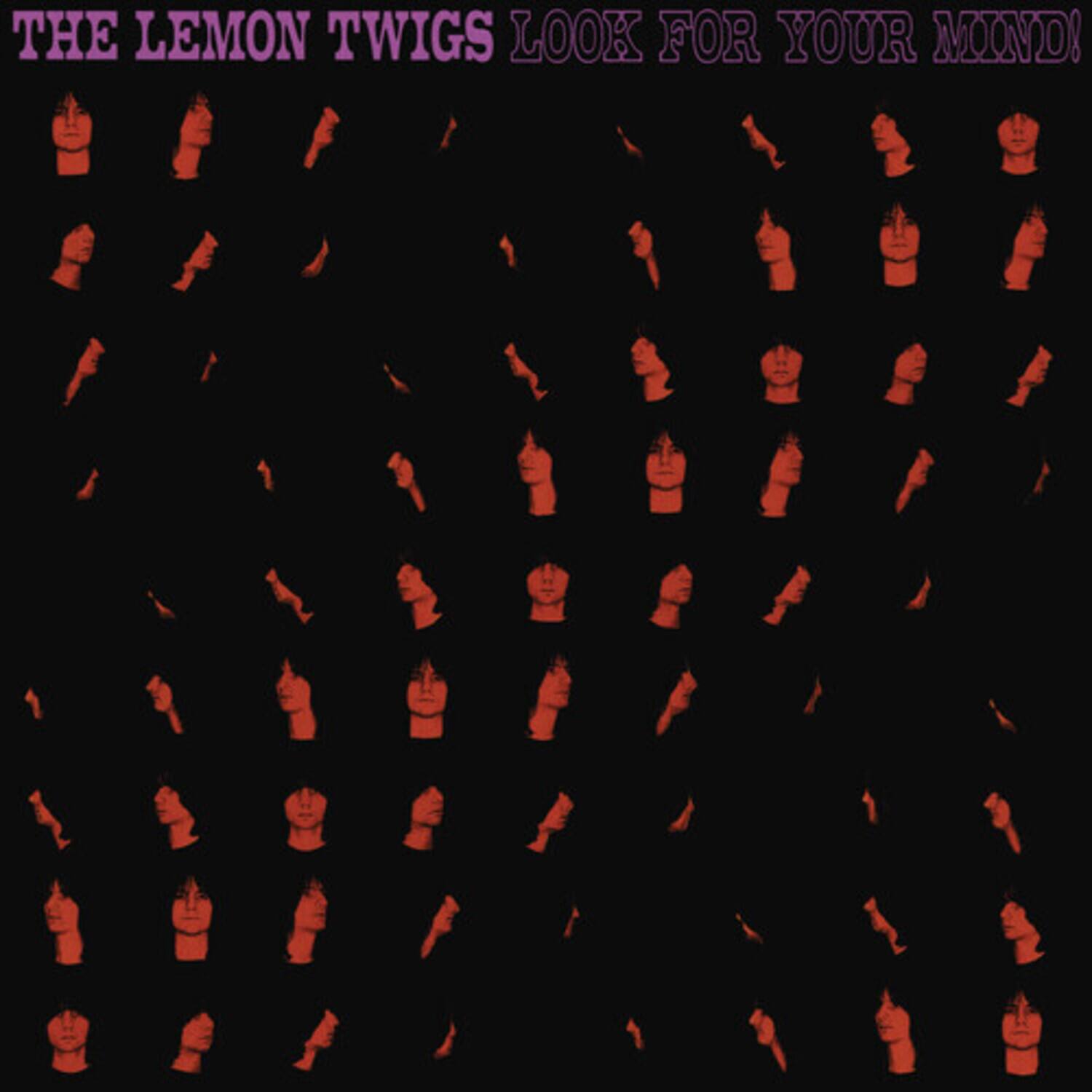 THE LEMON TWIGS LOOK FOR YOUR MIND!