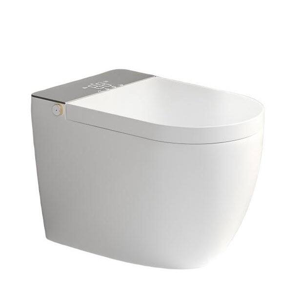 Front. Ecooso - Smart Toilet with Auto Open Close Lid, Heated Seat, Warm Water, Auto Flush, Remote and Foot Sensor - White/gray.