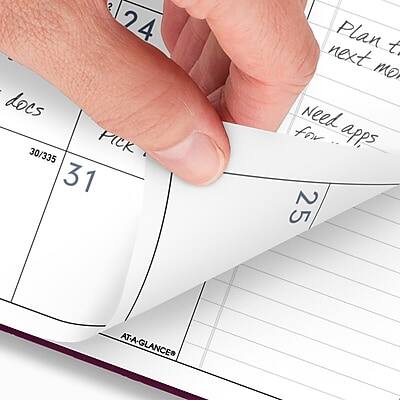 24: docs 30/335 PICK 31 Plan t next mo Need for apps 25 AT-A-GLANCE