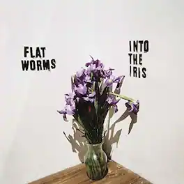Flatworms - Into The Iris - VINYL LP