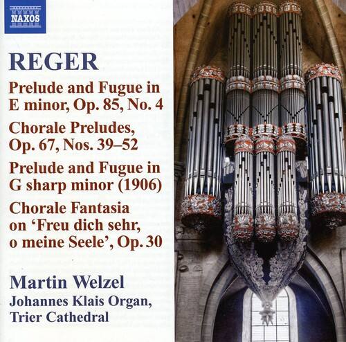 Martin Welzel - Reger 10: Organ Works   - COMPACT DISCS [CD]