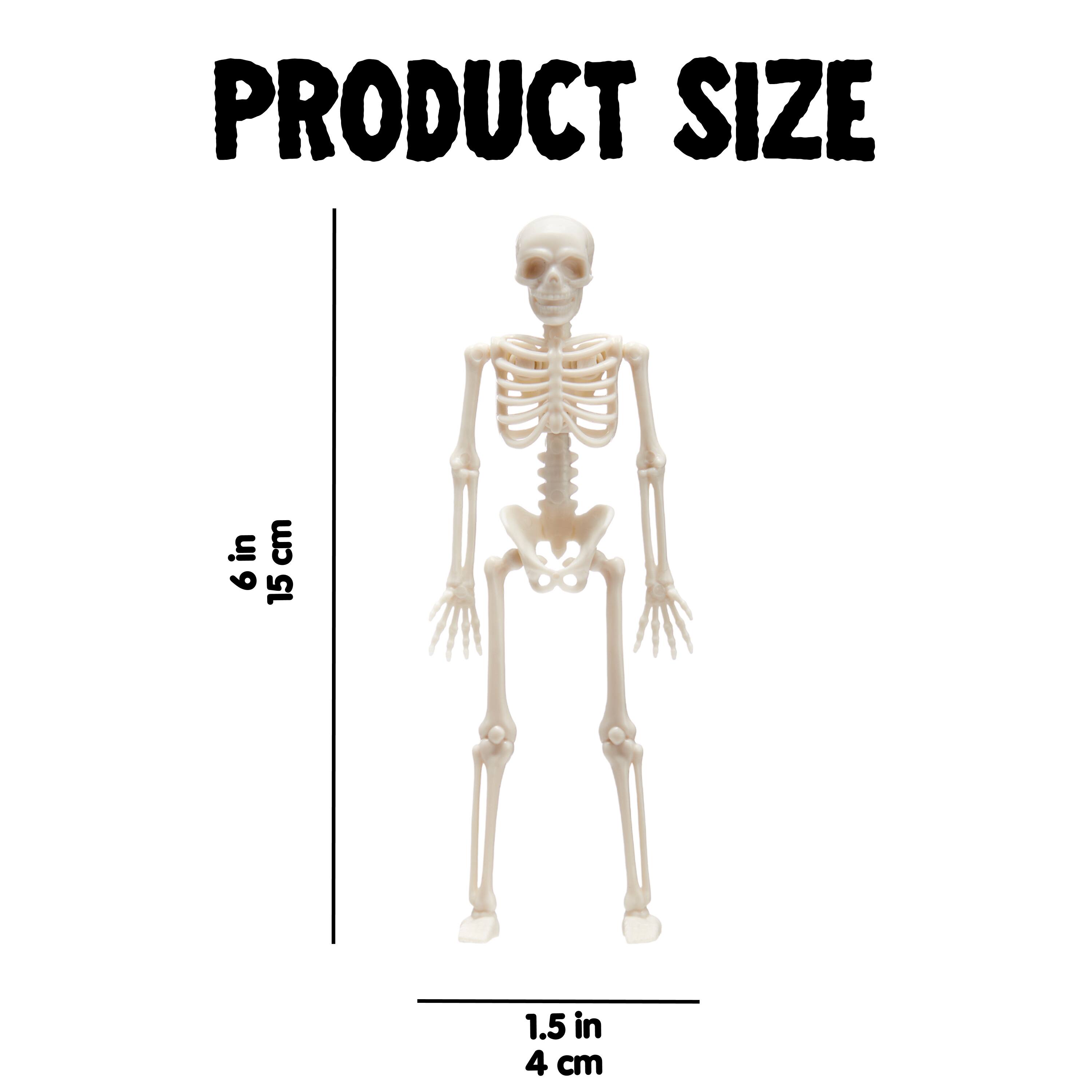 PRODUCT SIZE

6 in 15 cm

1.5 in 4 cm
