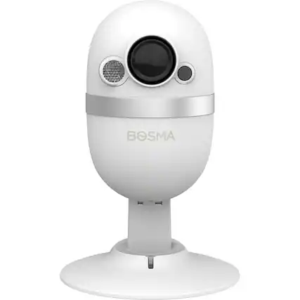 Front. Bosma - CapsuleCam Security Camera.