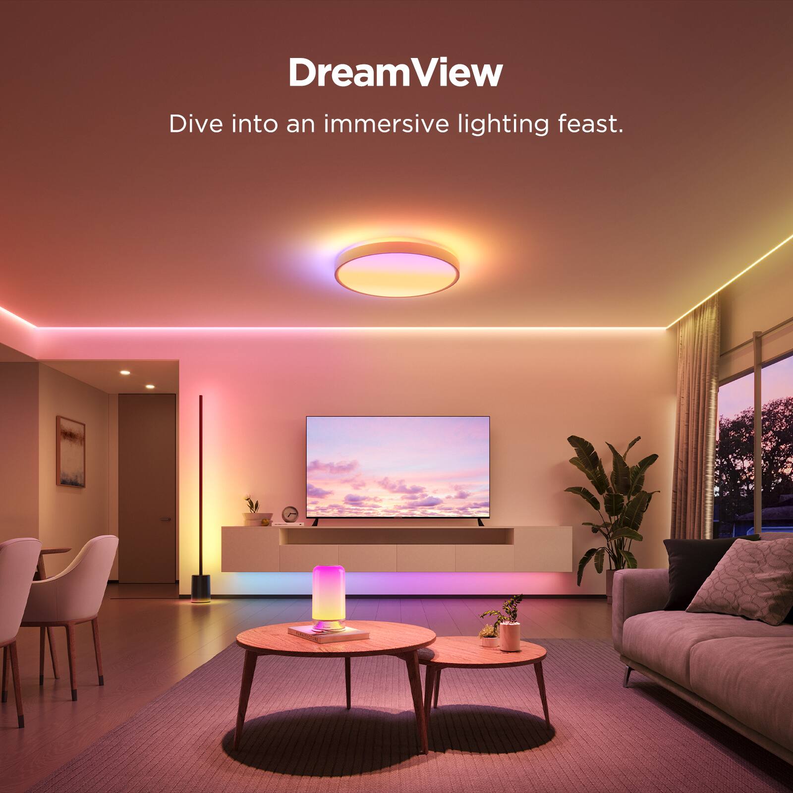 DreamView  
Dive into an immersive lighting feast.