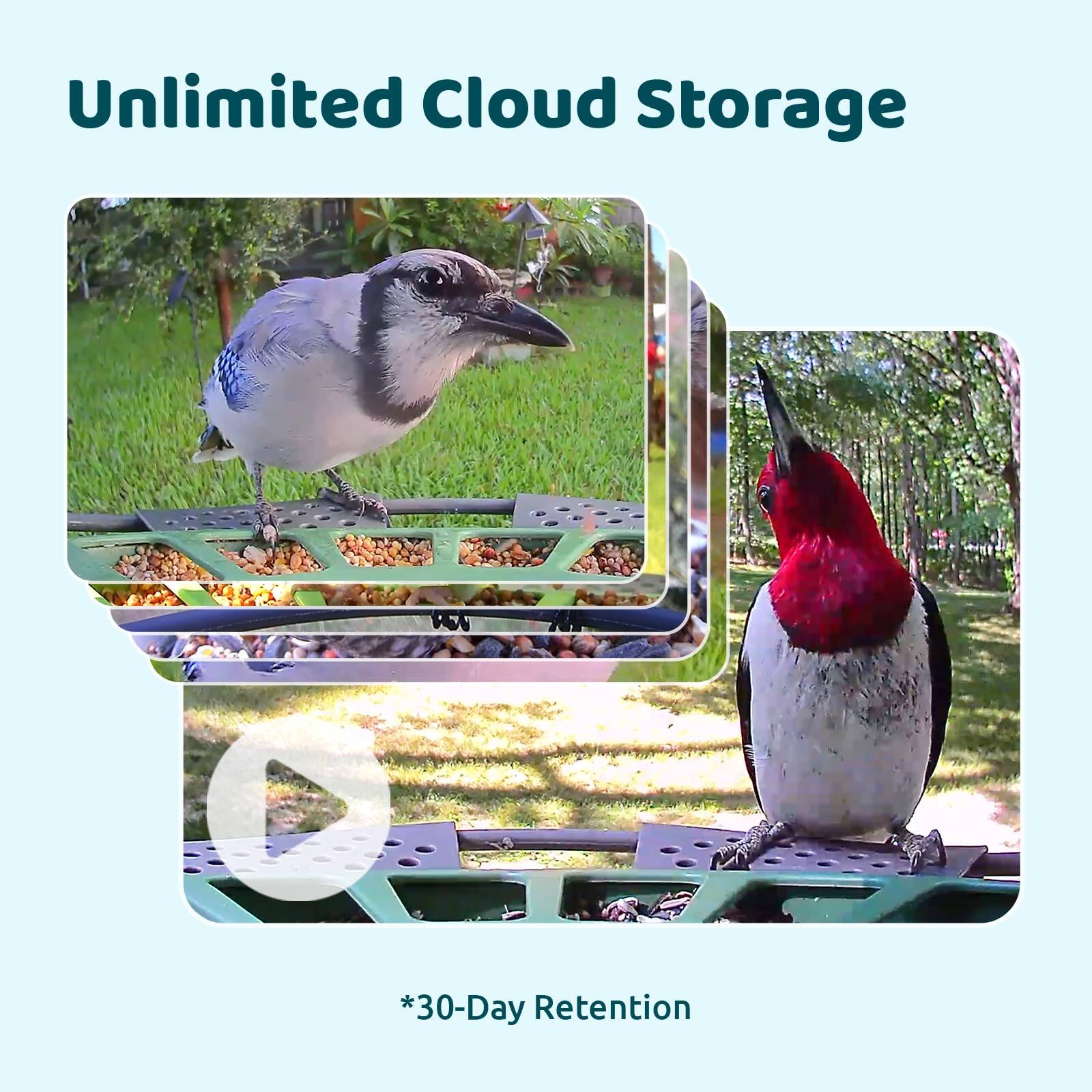 Unlimited Cloud Storage *30-Day Retention
