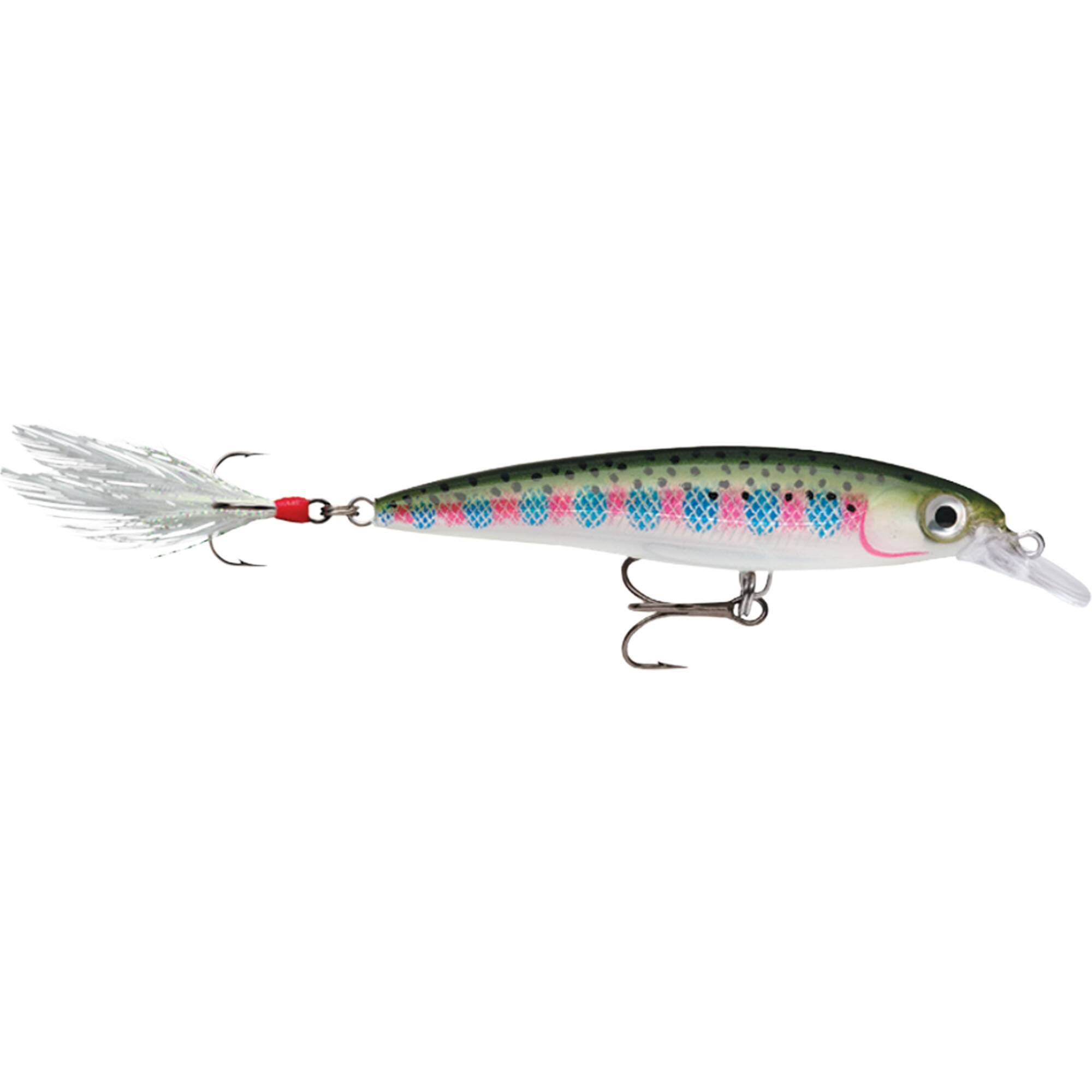 Rainbow Trout
