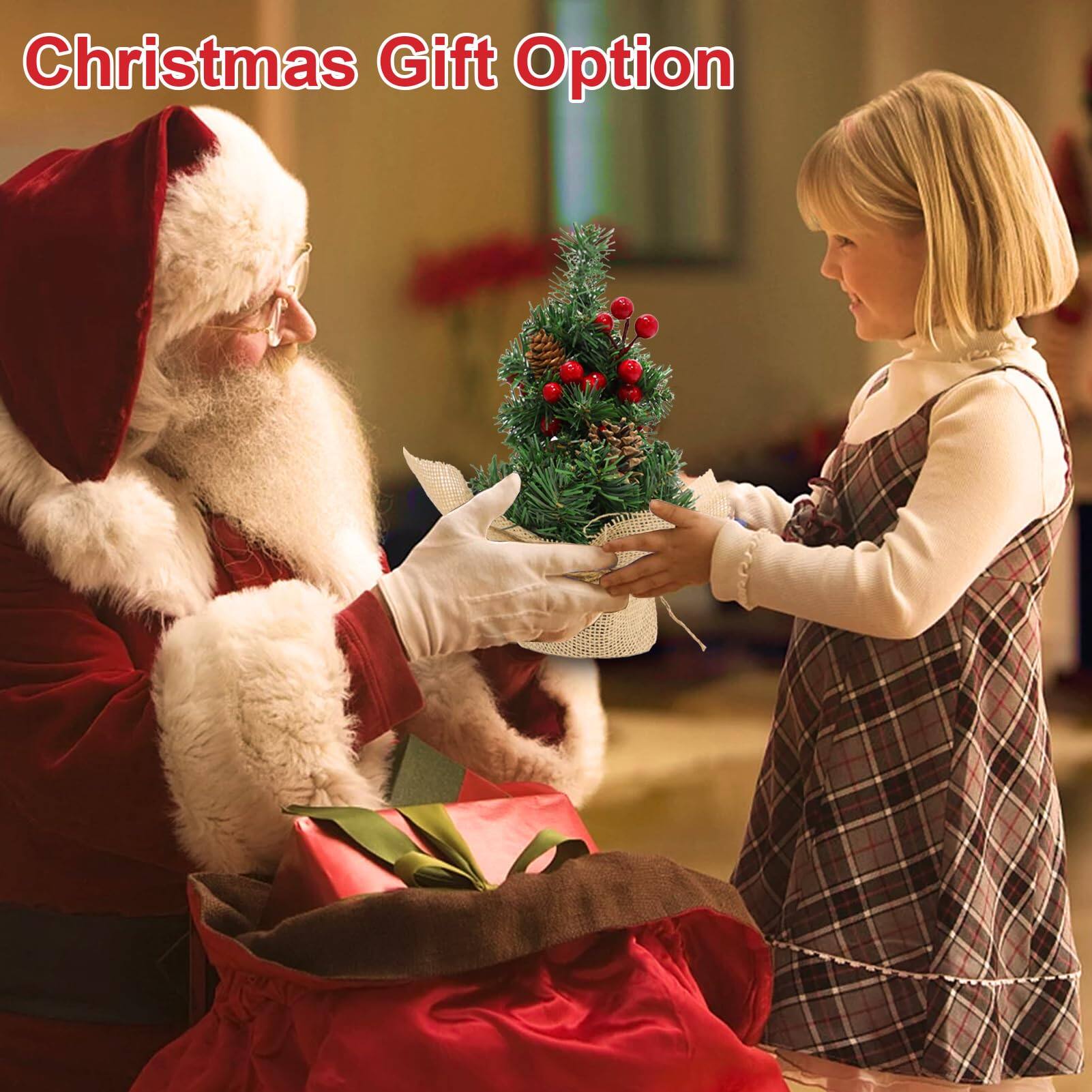 Christmas Gift Option