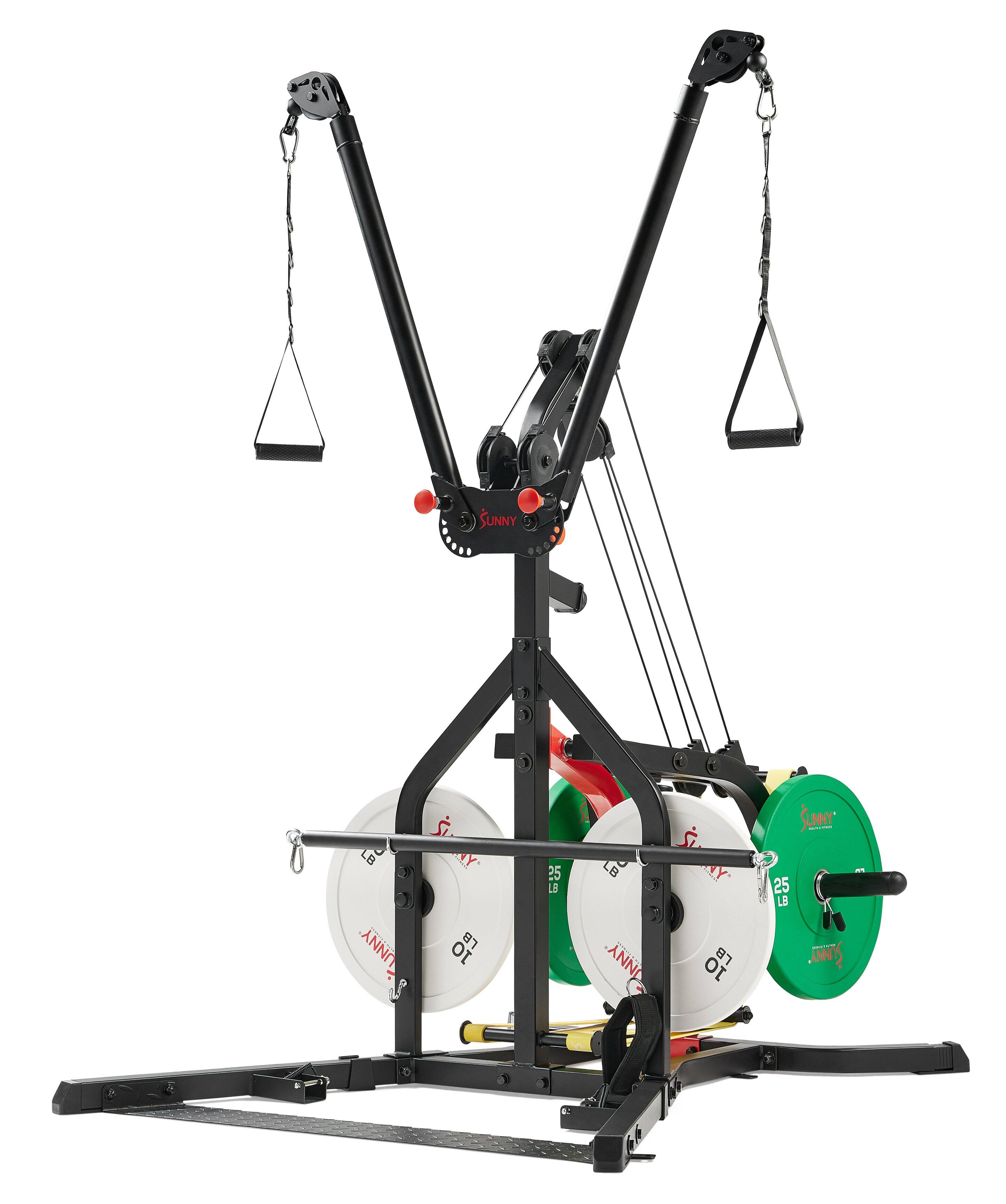 SUNNY
25 LB
10 LB
25 LB