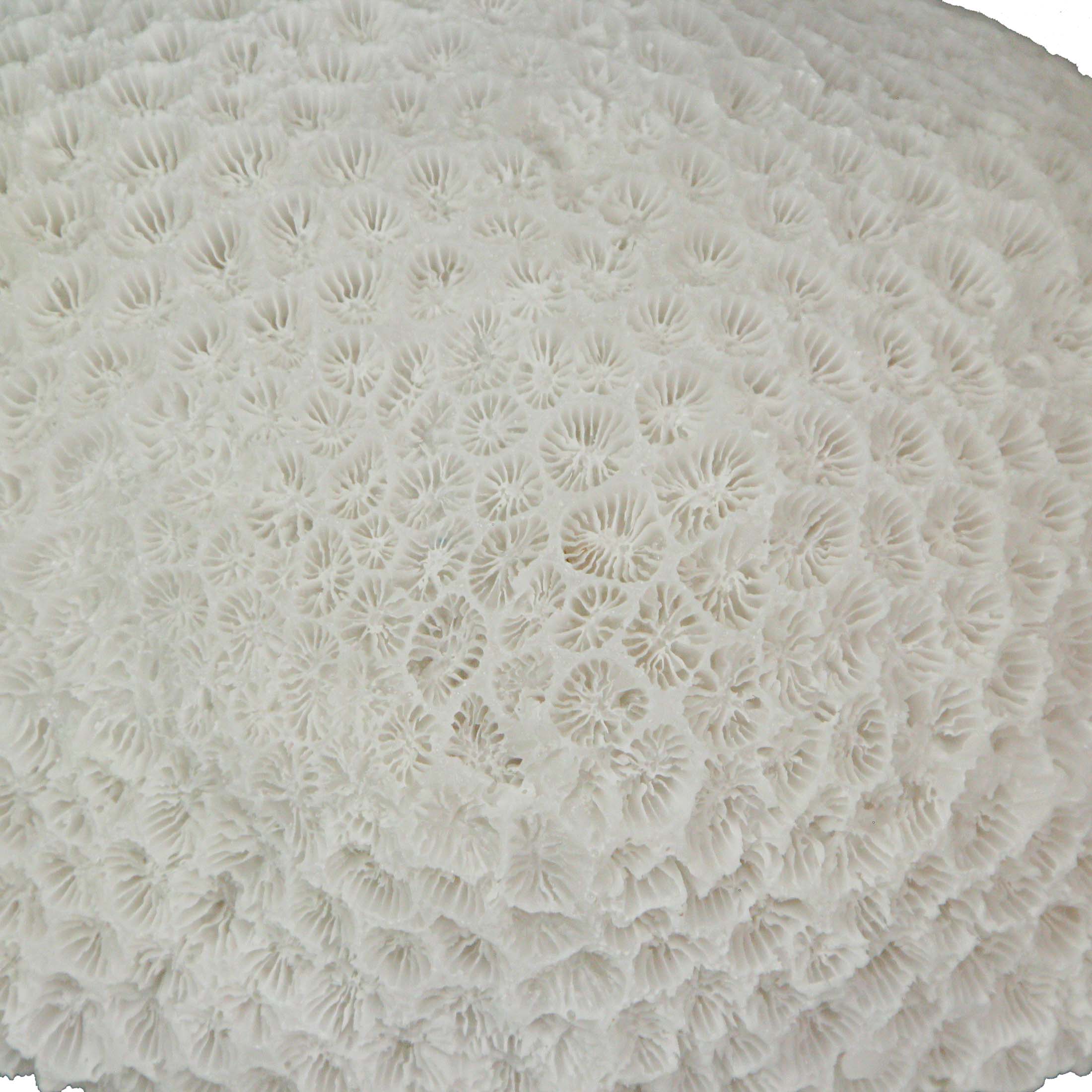 Alt View 2. Contrast Inc. - 6 Inch Resin LED Brain Coral Accent Lamp Decorative Sea Table Light Nautical Home Decor - White.