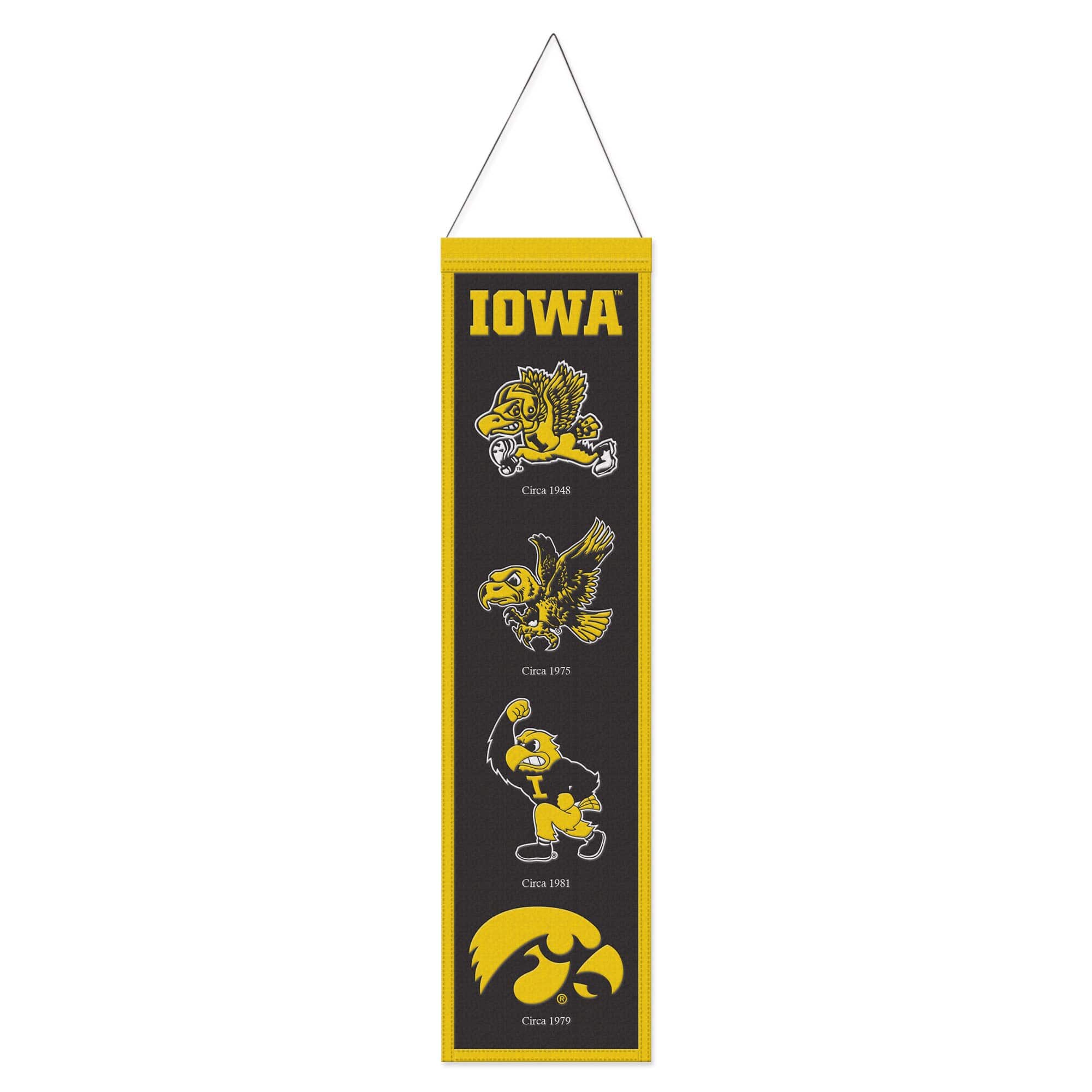 "WinCraft - Iowa Hawkeyes 8"" x 32"" Evolution Banner - Multicolor" price history on PriceWatchPro