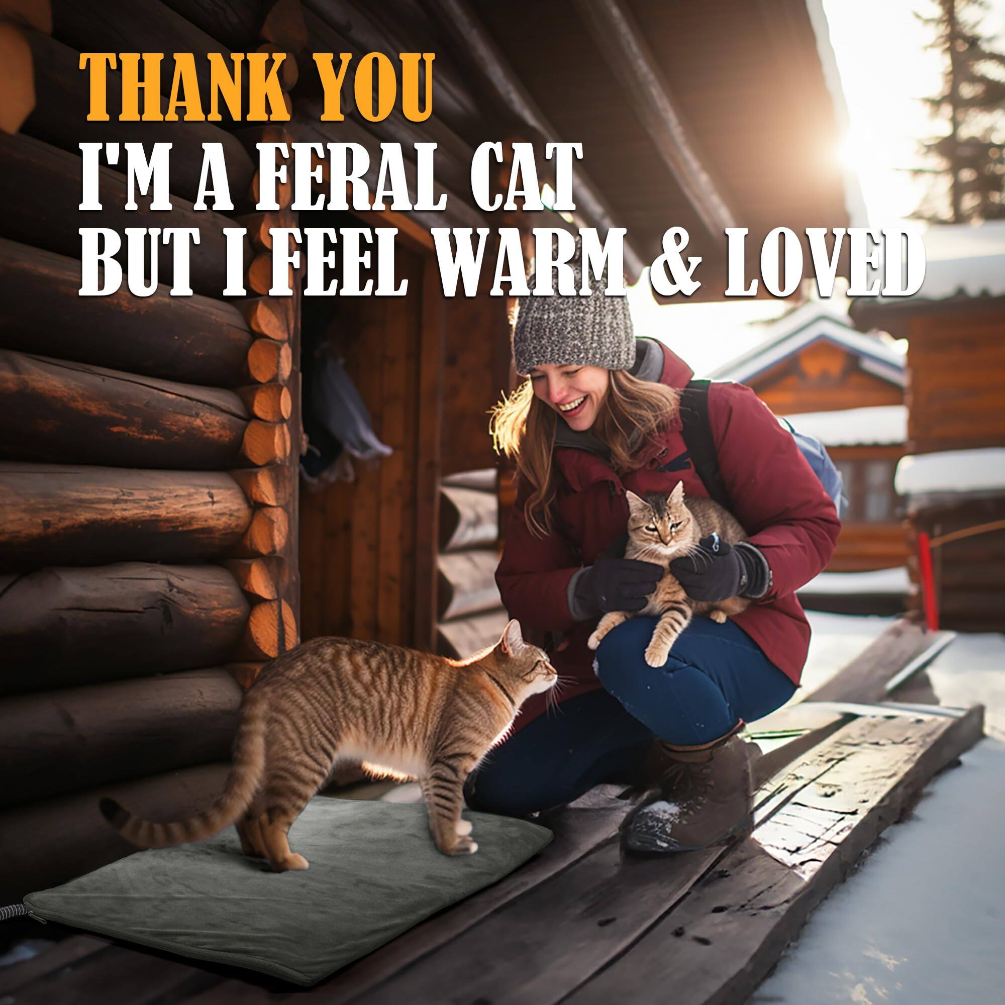 THANK YOU  
I'M A FERAL CAT BUT I FEEL WARM & LOVED