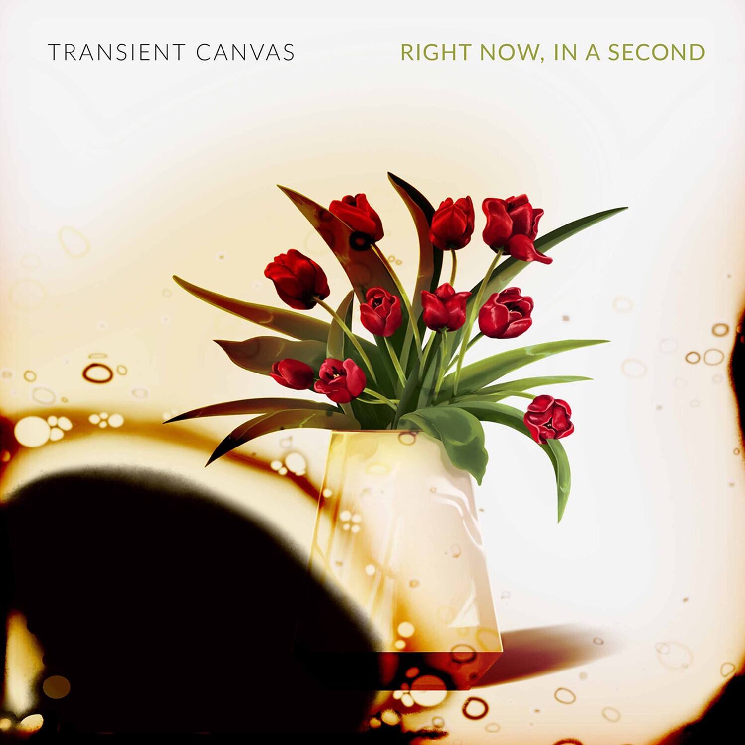 TRANSIENT CANVAS

RIGHT NOW, IN A SECOND