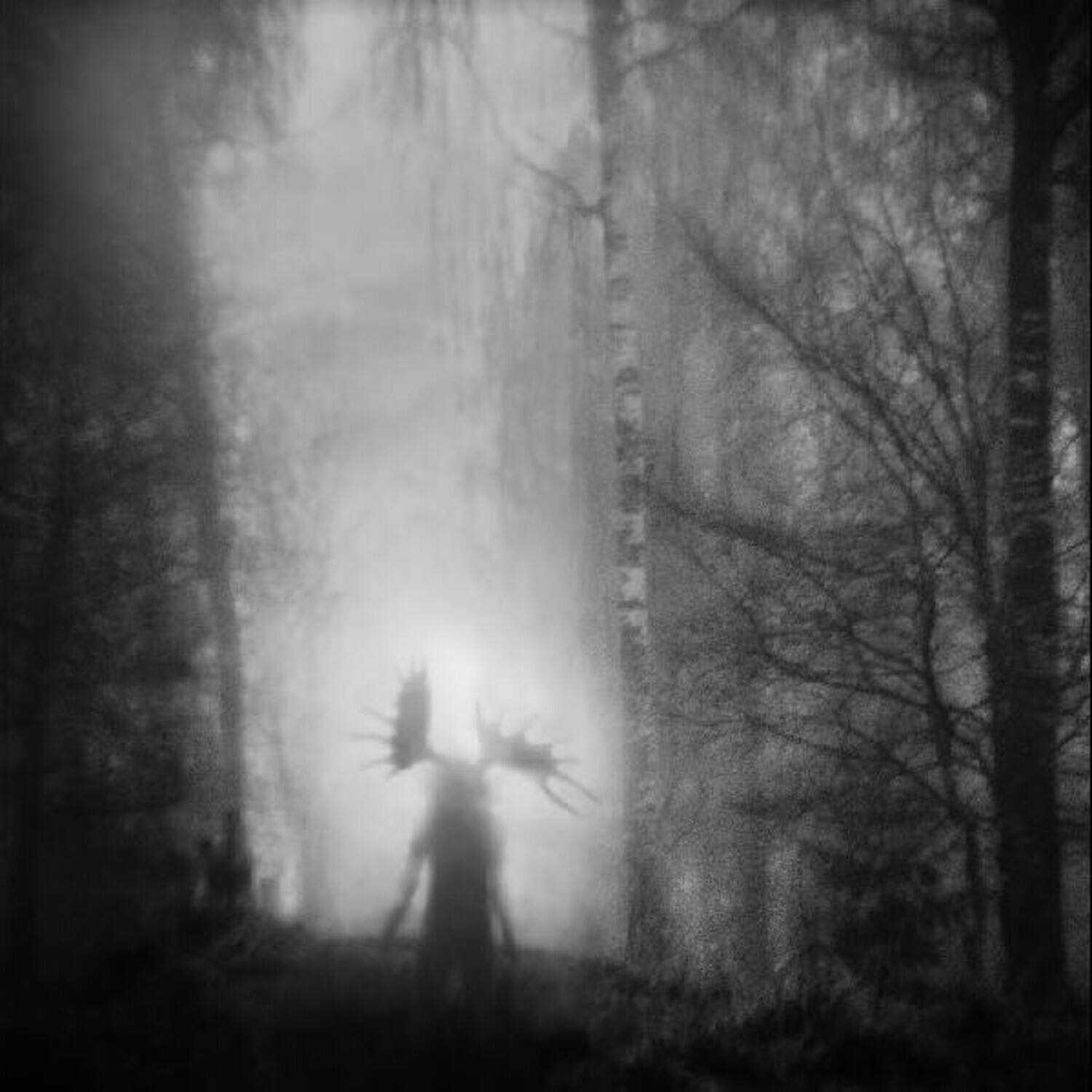 Iterum Nata - From The Infinite Light - VINYL LP