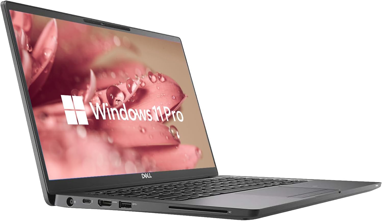 Windows 11 Pro  
DELL