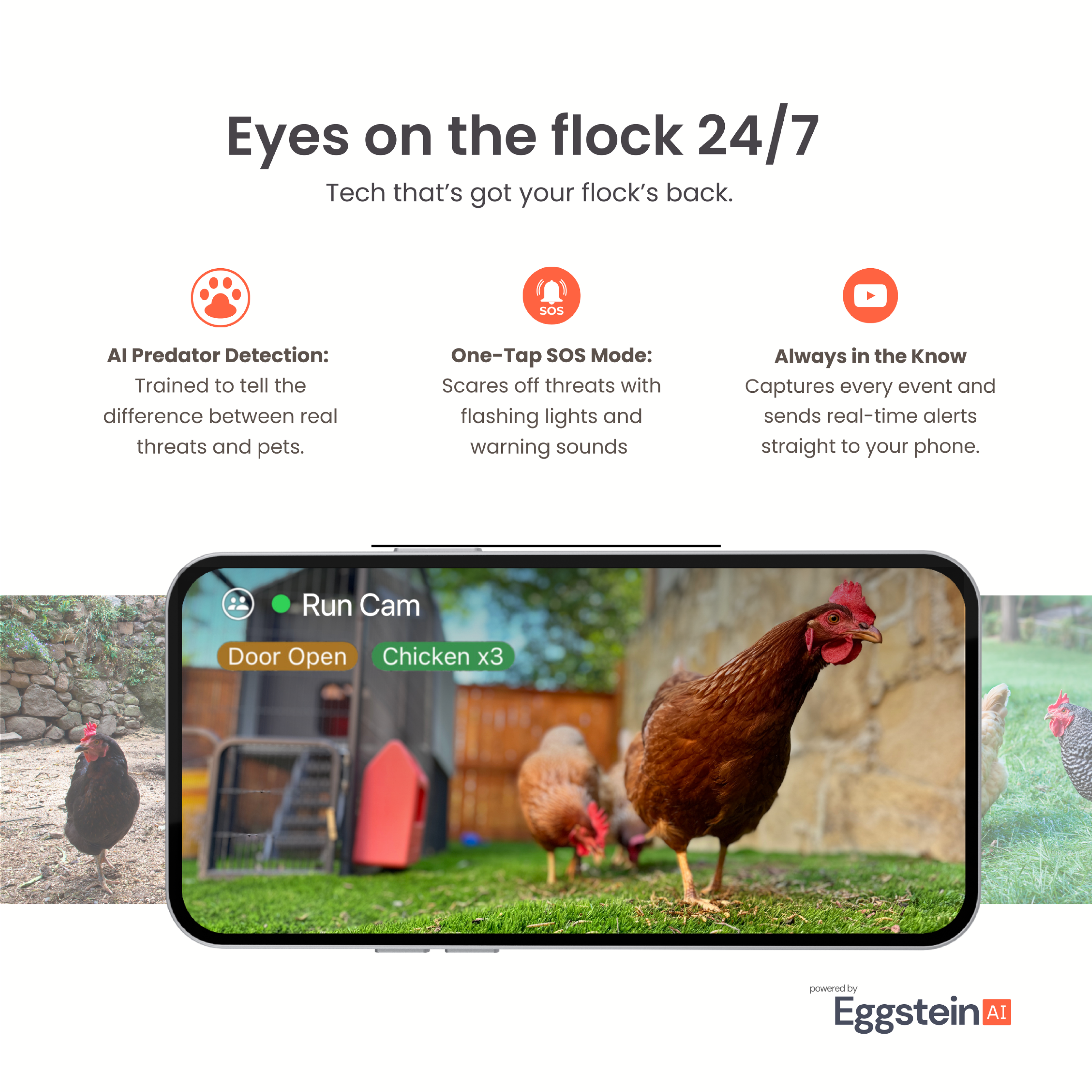 Eyes on the flock 24/7  
Tech that's got your flock's back.

AI Predator Detection:  
Trained to tell the difference between real threats and pets.

One-Tap SOS Mode:  
Scares off threats with flashing lights and warning sounds

Always in the Know  
Captures every event and sends real-time alerts straight to your phone.

Run Cam  
Door Open  
Chicken x3

powered by Eggstein AI