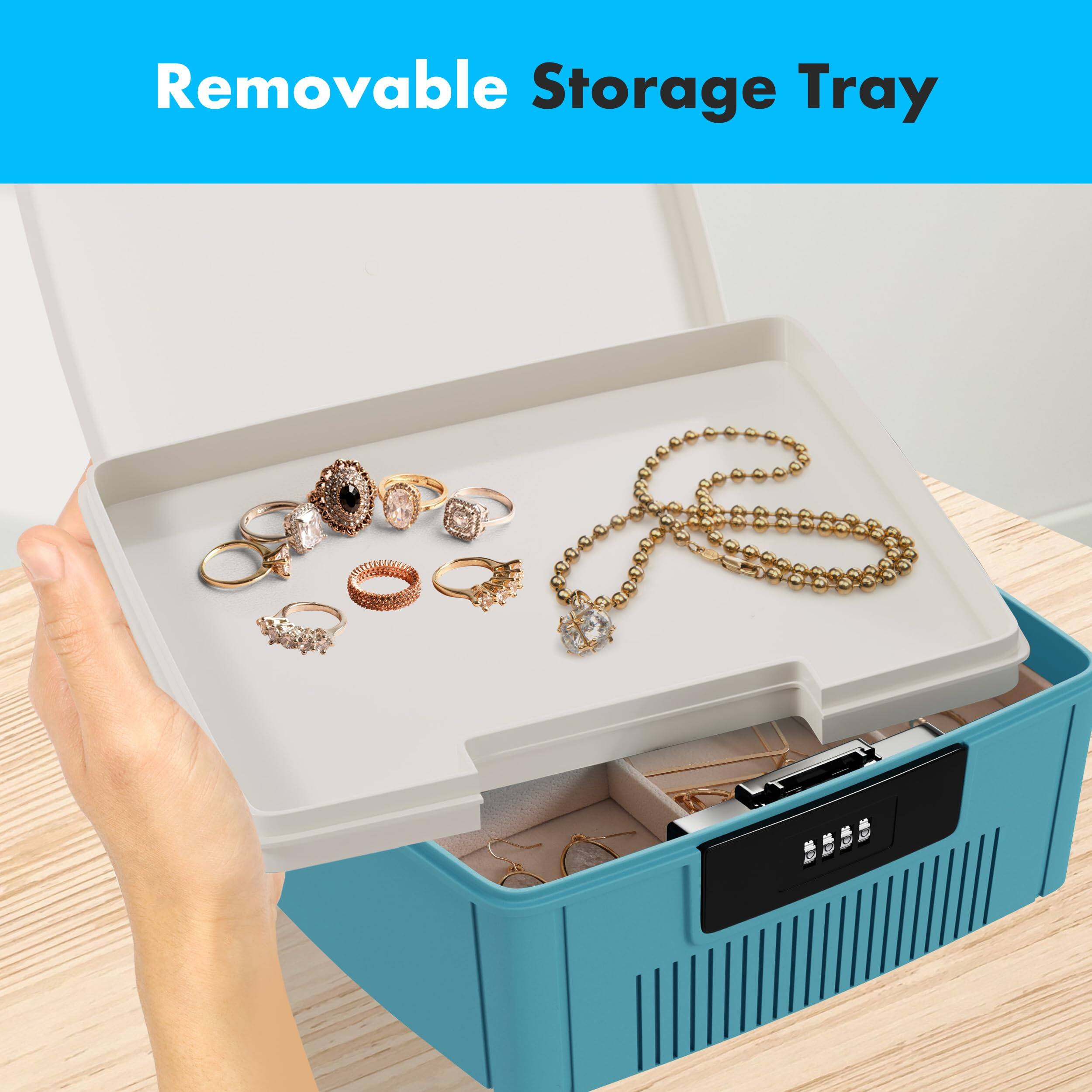 Removable Storage Tray