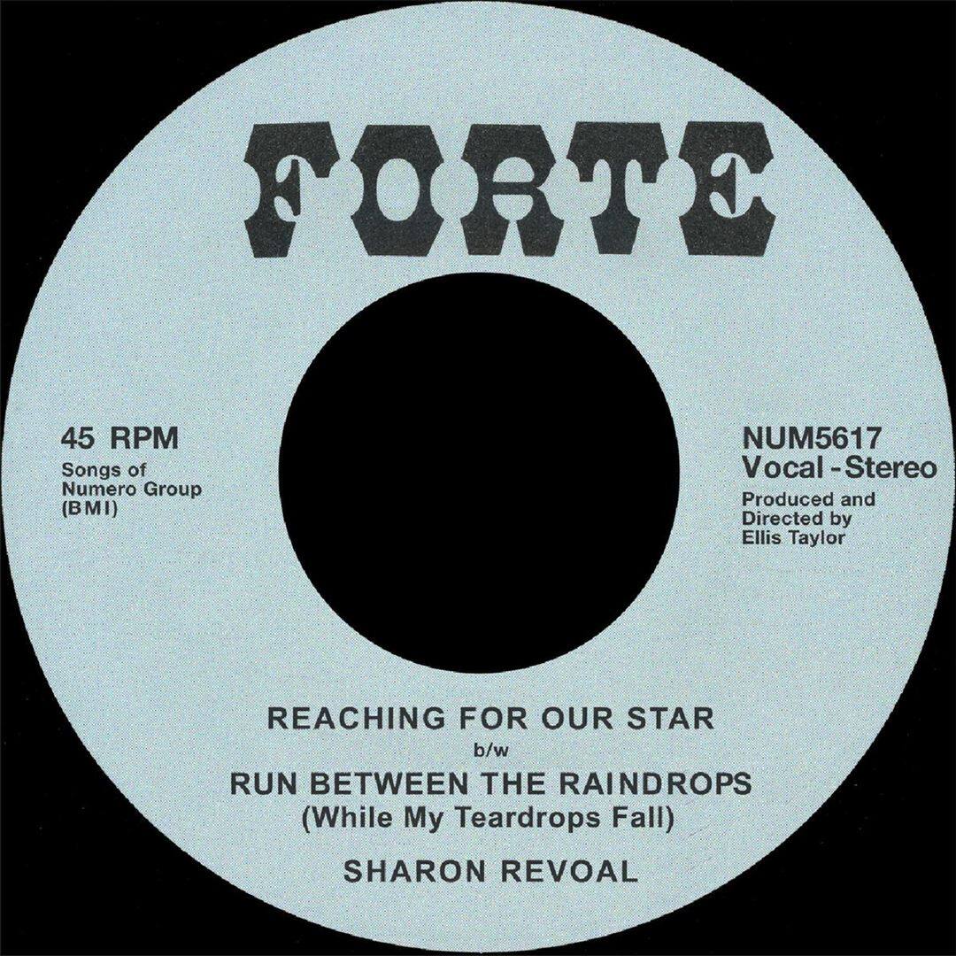 Reaching For Our Star b/w Run Between The Raindrops (While My Teardrops Fall) [7 inch Vinyl Disc] price history on PriceWatchPro