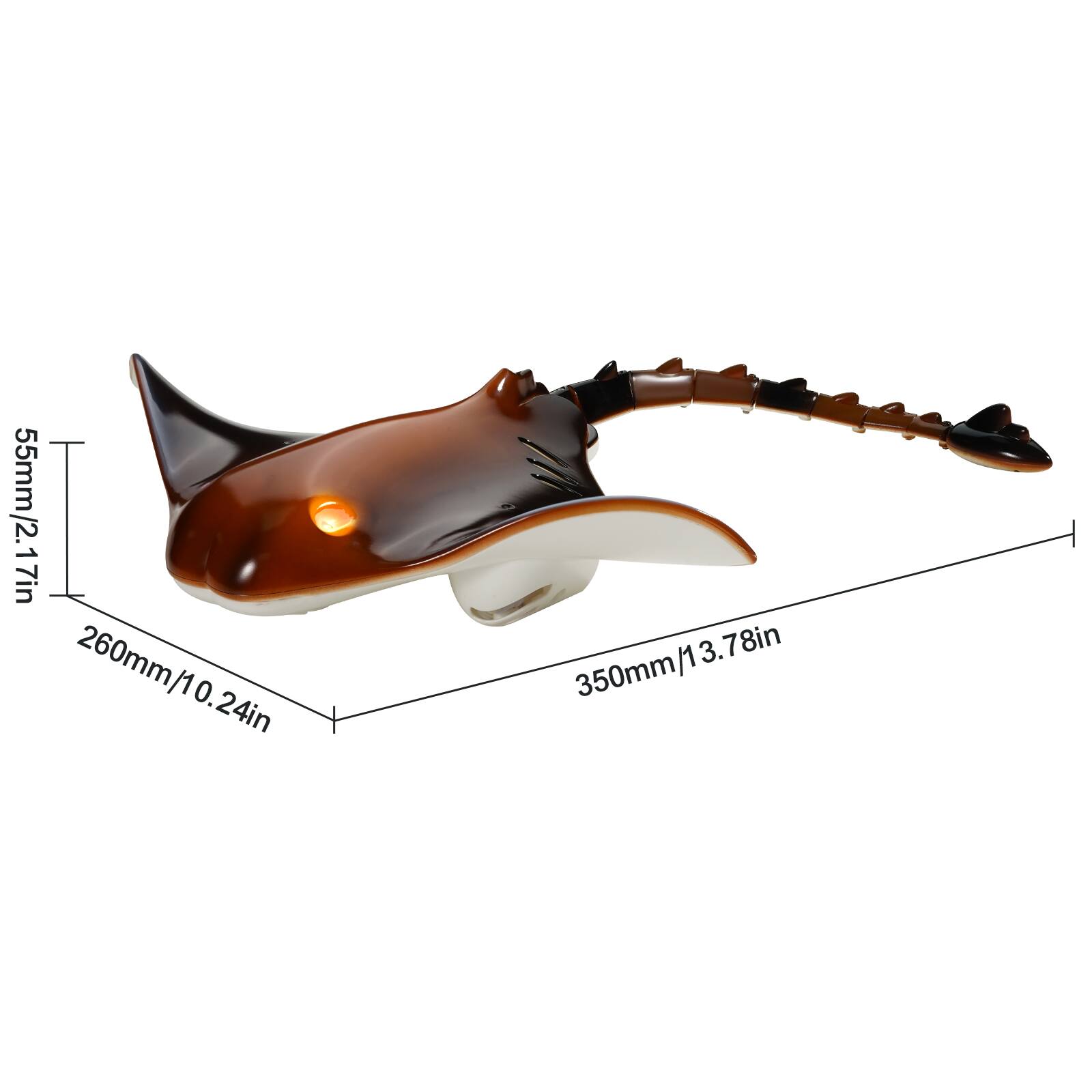 55mm/2.17in  
260mm/10.24in  
350mm/13.78in
