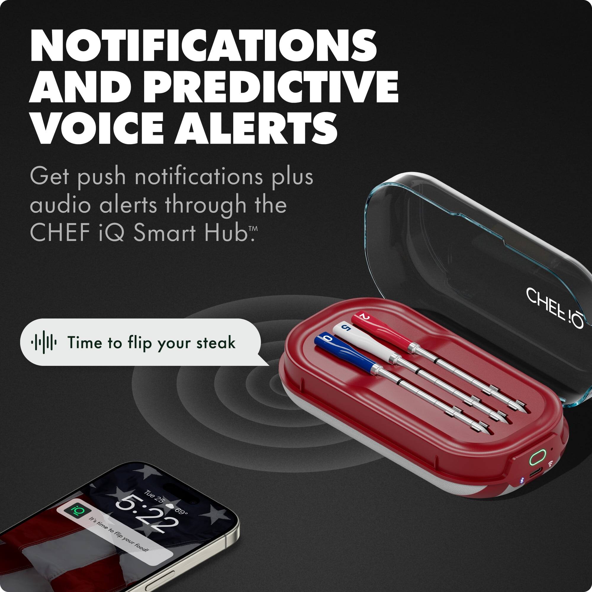 NOTIFICATIONS AND PREDICTIVE VOICE ALERTS

Get push notifications plus audio alerts through the CHEF iQ Smart Hub™

Time to flip your steak

Tue 25
5:22