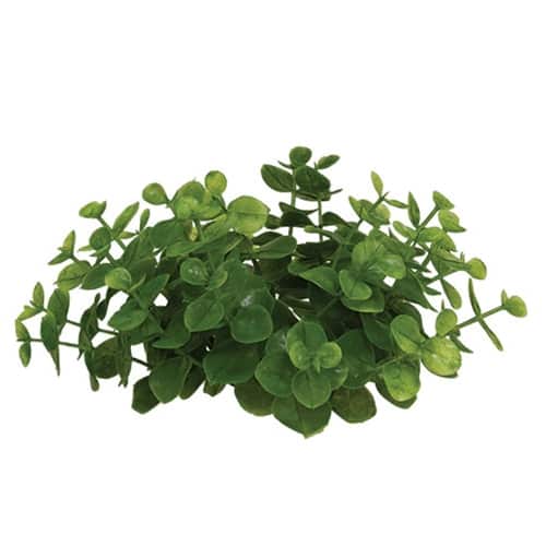 BreeBe - Eucalyptus Candle Ring - Green