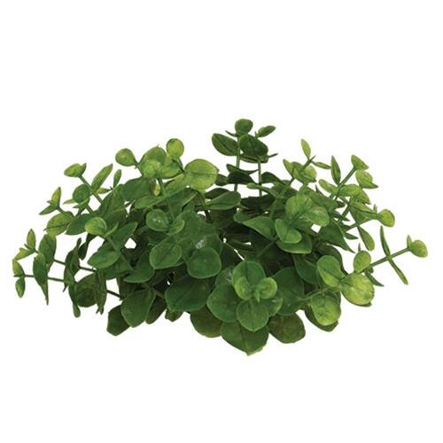 Front. BreeBe - Eucalyptus Candle Ring - Green.