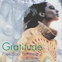 Suburbia Meets Ultra-Vybe “Free Soul Treasure 2" [LP] - VINYL - Front_Zoom