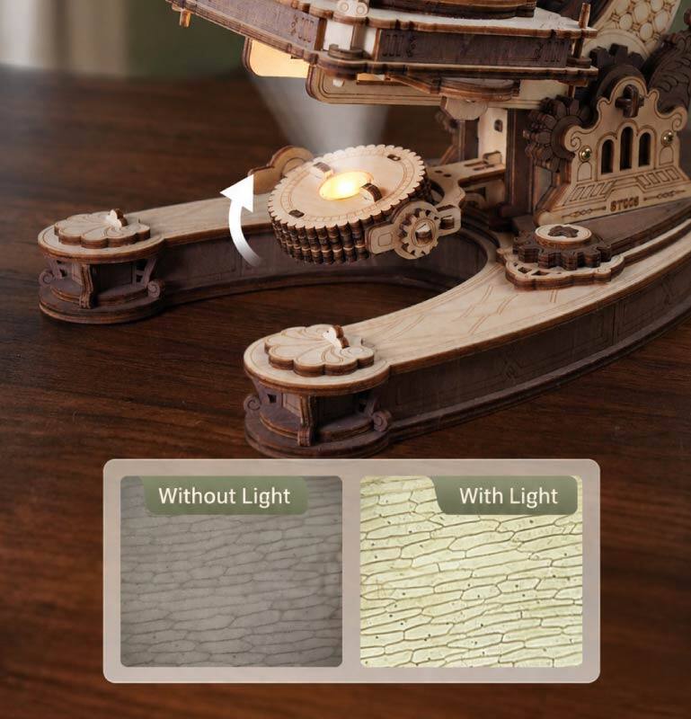 0.00%  
STOCS  
Without Light  
With Light