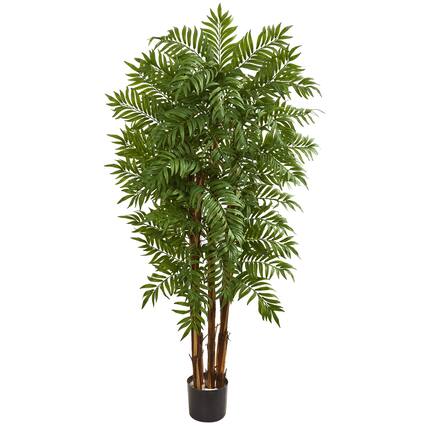 Front. BreeBe - 5.5' Parlour Artificial Palm Tree - Green.