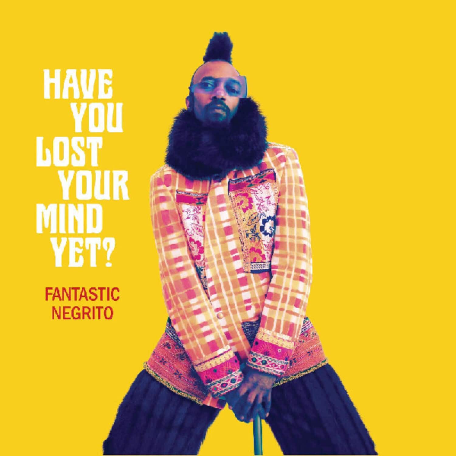 Fantastic Negrito - Have You Lost Your Mind Yet   - VINYL LP price history on PriceWatchPro