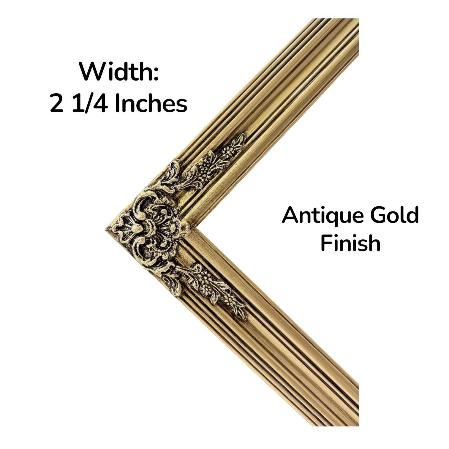 Width: 2 1/4 Inches  
Antique Gold Finish