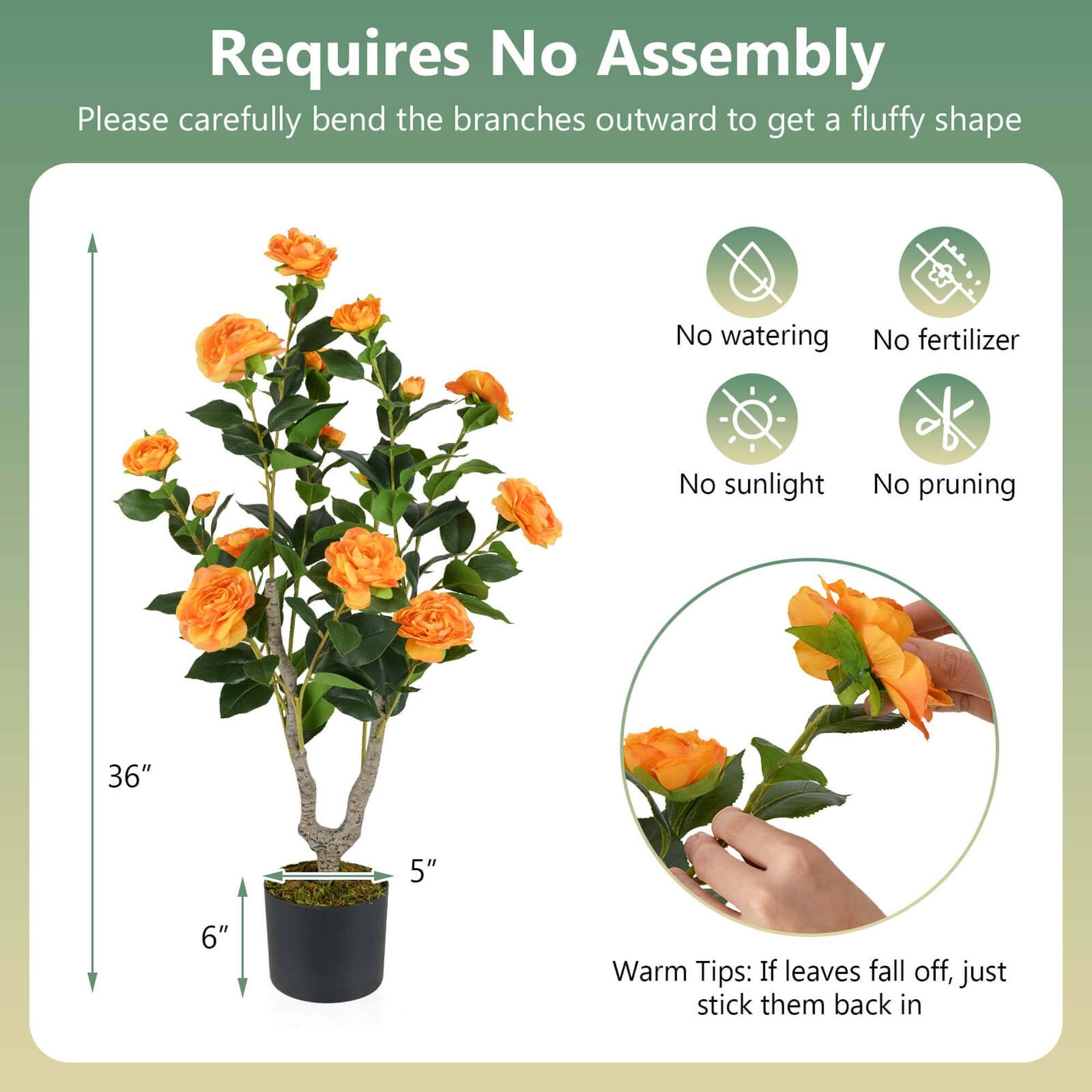 Requires No Assembly

Please carefully bend the branches outward to get a fluffy shape.

No watering
No fertilizer
No sunlight
No pruning

36" 5" 6"

Warm Tips: If leaves fall off, just stick them back in.