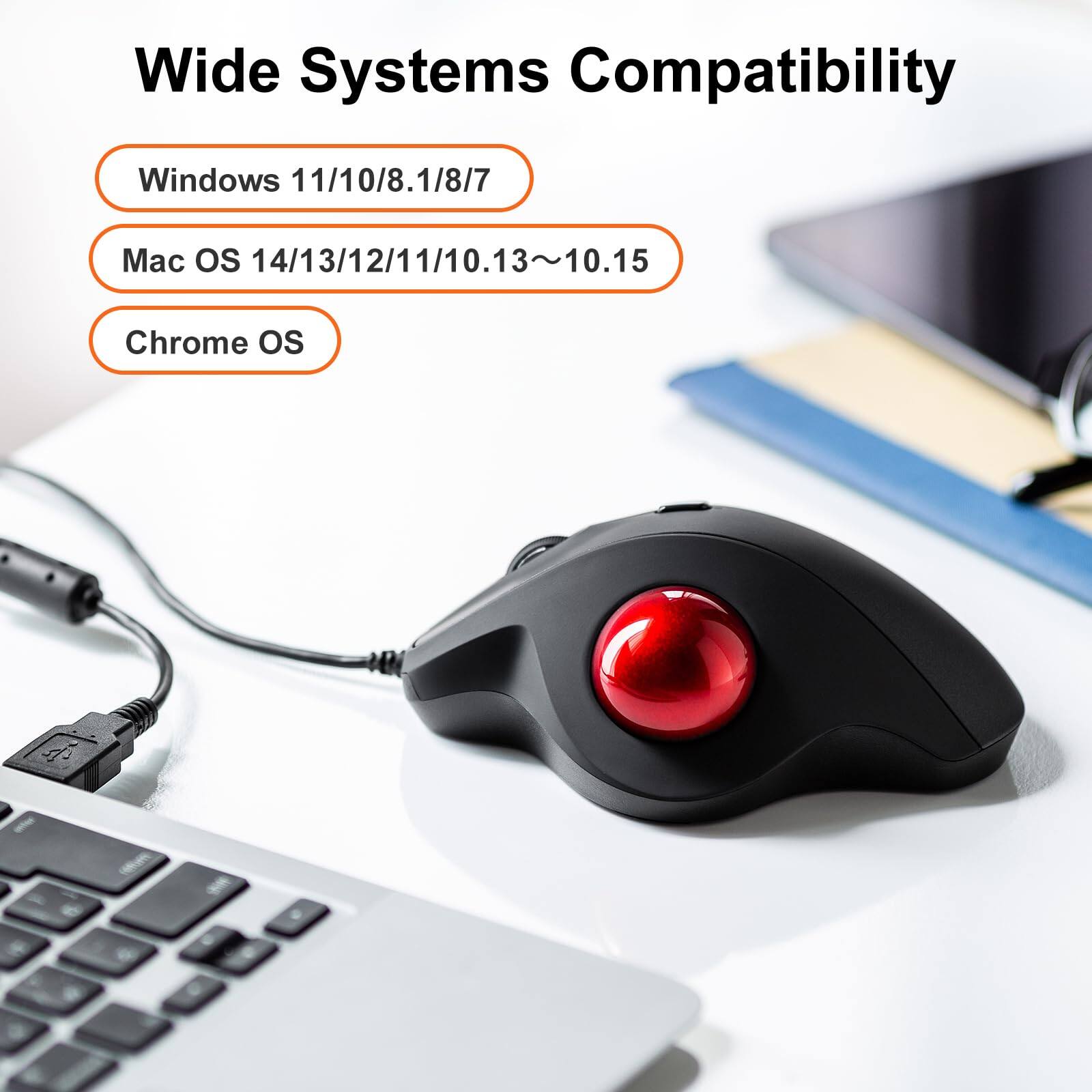 Wide Systems Compatibility

- Windows 11/10/8.1/8/7
- Mac OS 14/13/12/11/10.13~10.15
- Chrome OS