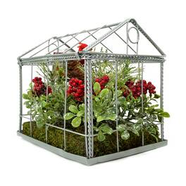 Northlight - Cardinal Boxwood Artificial Christmas Greenhouse Arrangement - 9" - and Green - Red