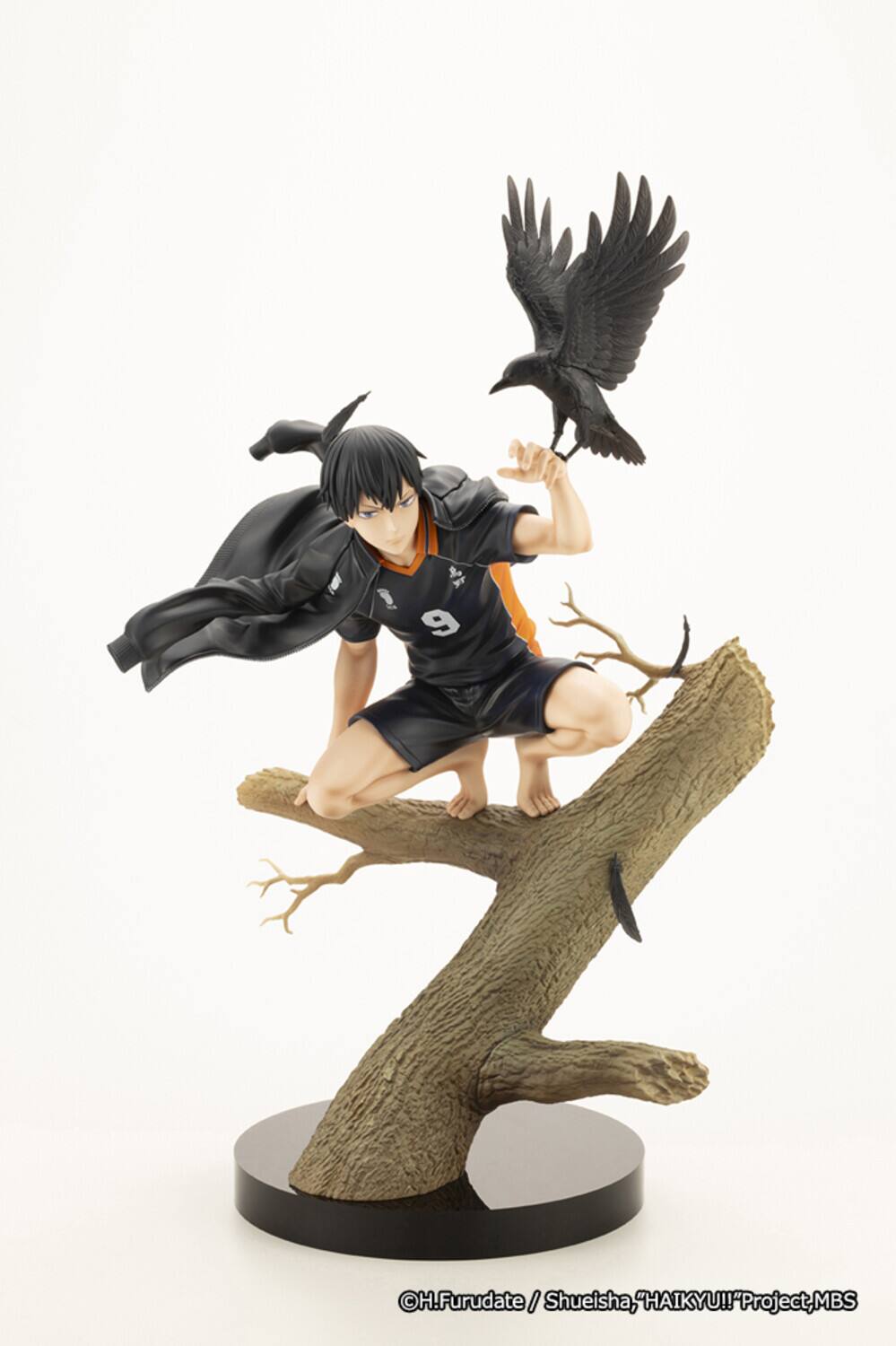H.Furudate / Shueisha, "HAIKYU!!" Project, MBS