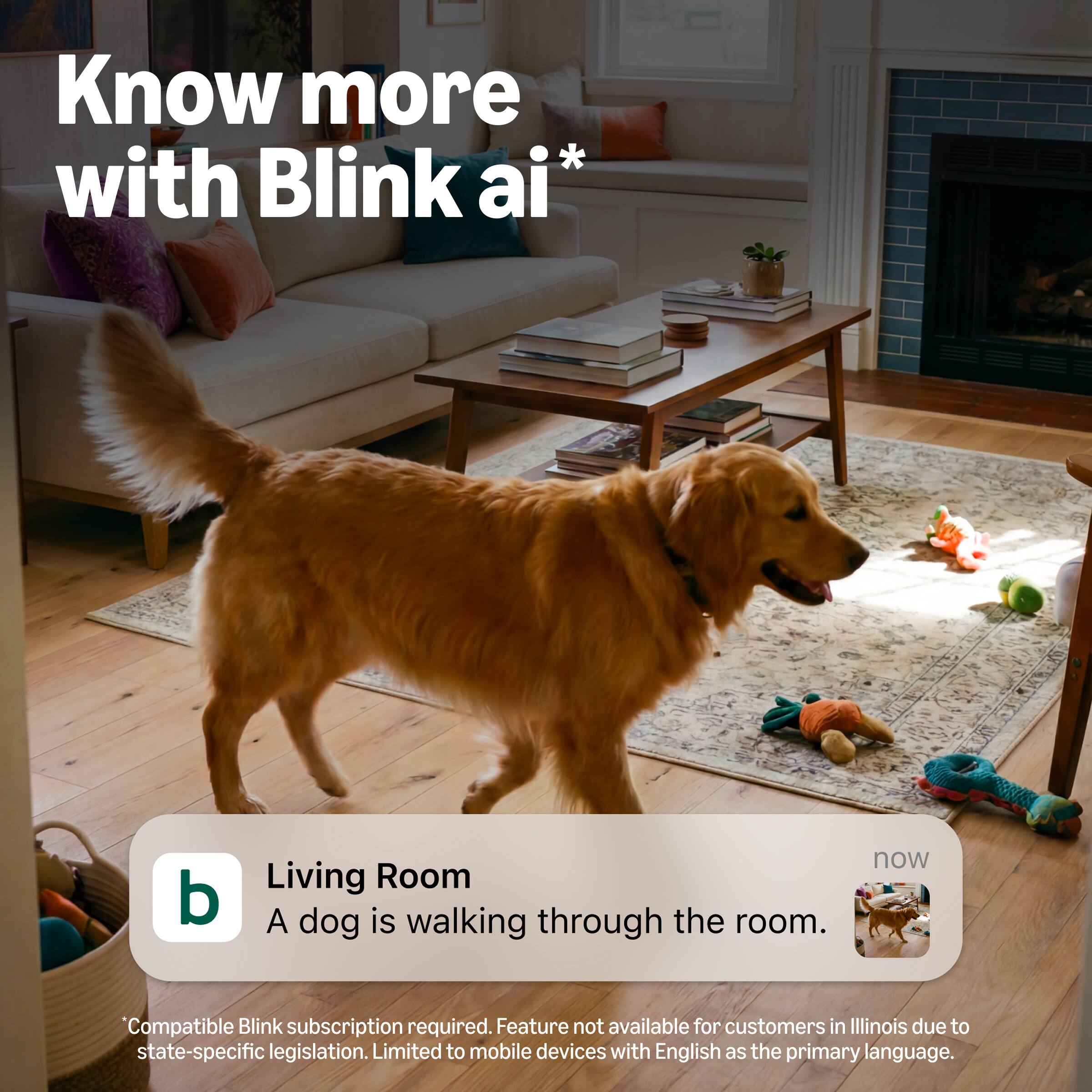 Know more with Blink ai*

Living Room
A dog is walking through the room.

*Compatible Blink subscription required. Feature not available for customers in Illinois due to state-specific legislation. Limited to mobile devices with English as the primary language.