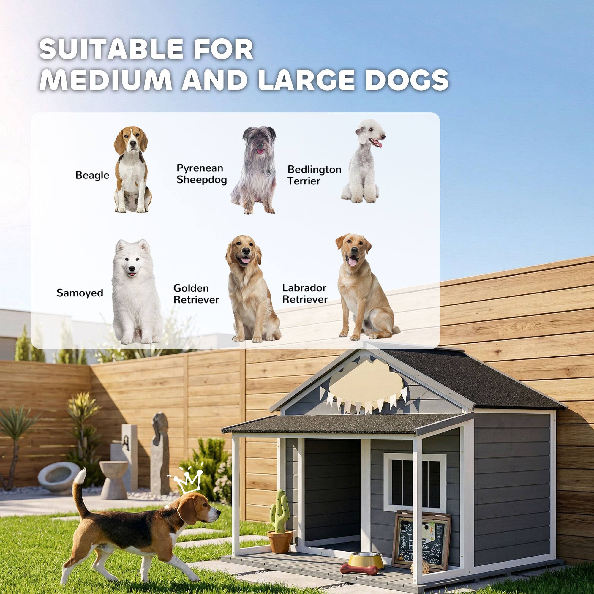 SUITABLE FOR MEDIUM AND LARGE DOGS

- Beagle
- Pyrenean Sheepdog
- Bedlington Terrier
- Samoyed
- Golden Retriever
- Labrador Retriever