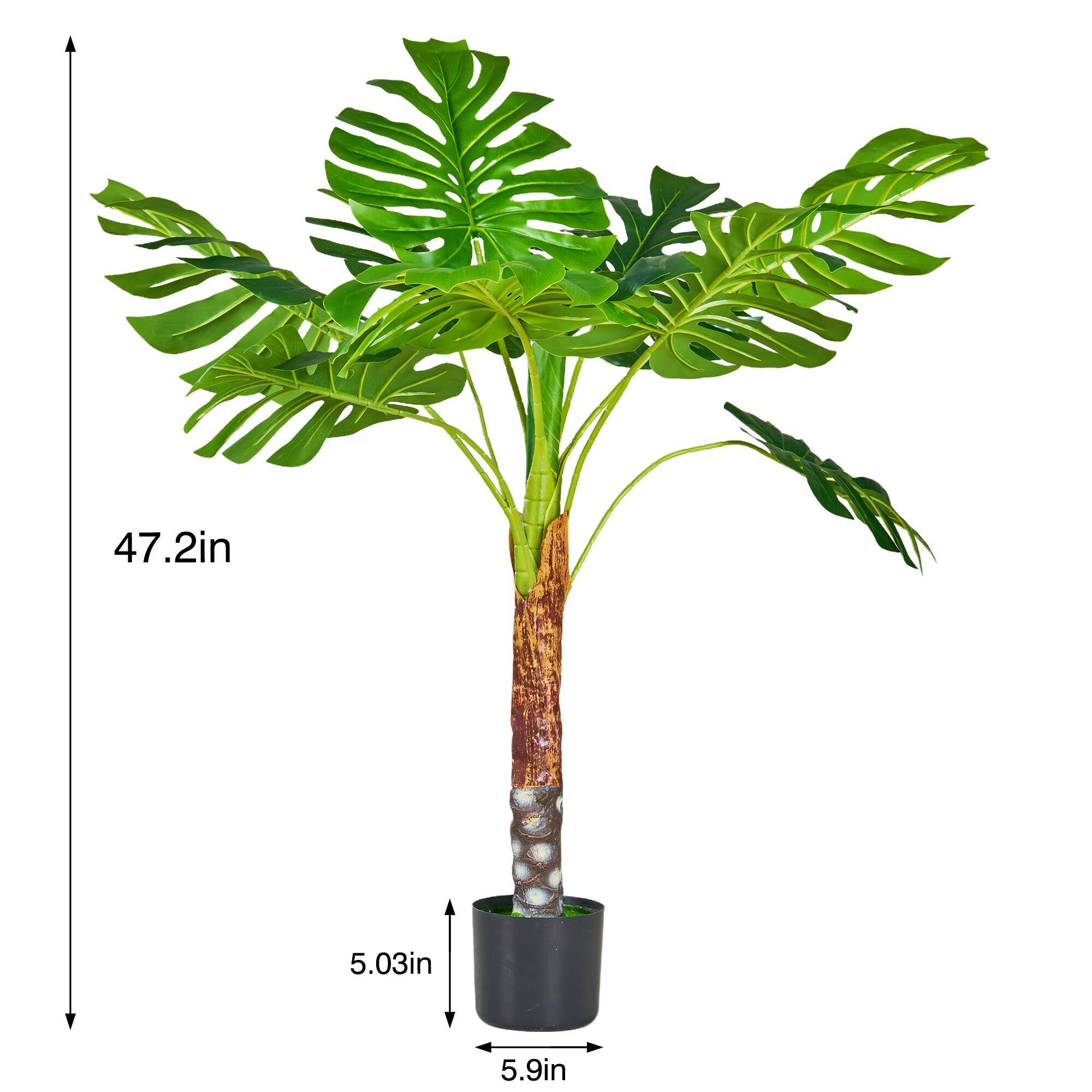 47.2in  
5.03in  
5.9in