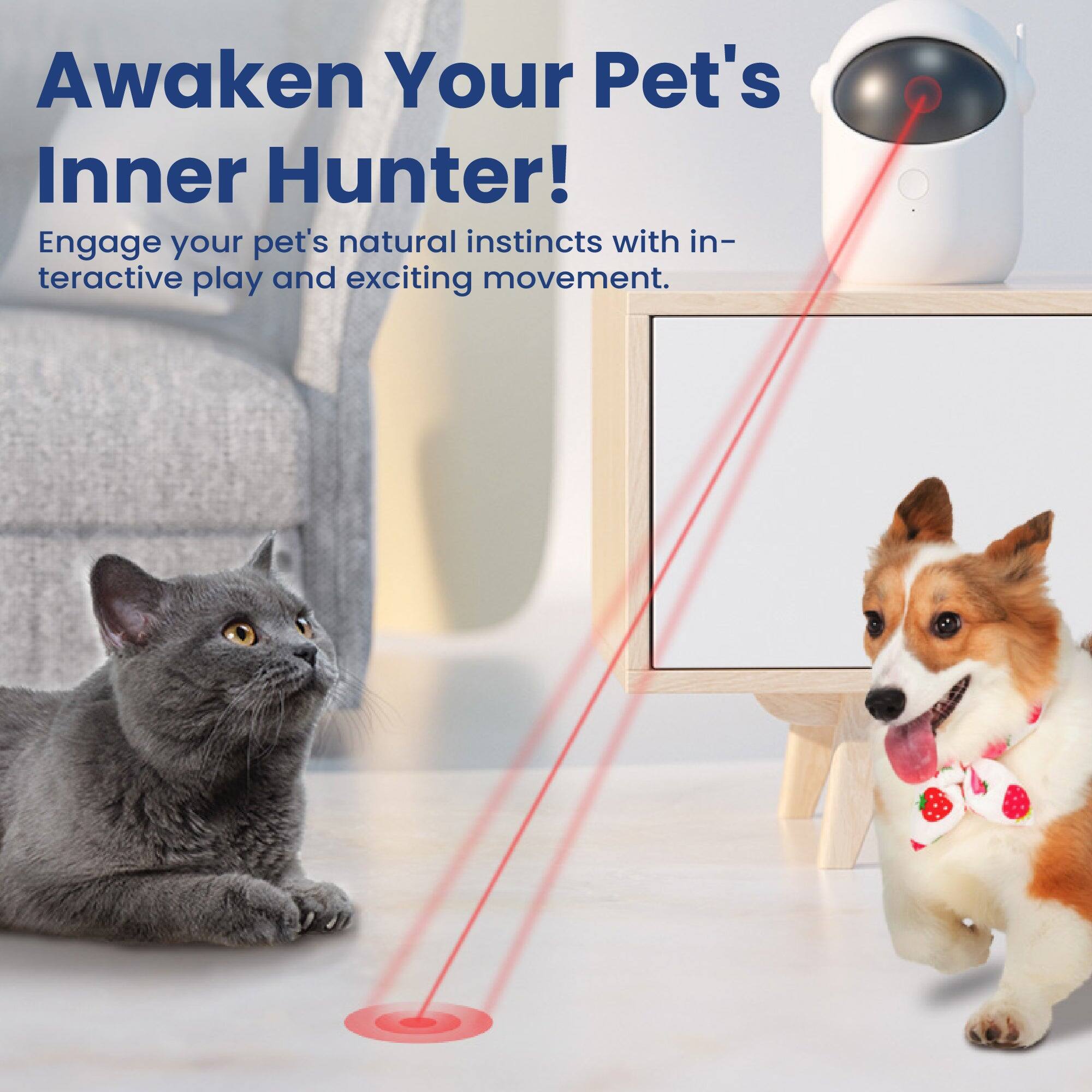 Awaken Your Pet's Inner Hunter!  
Engage your pet's natural instincts with interactive play and exciting movement.