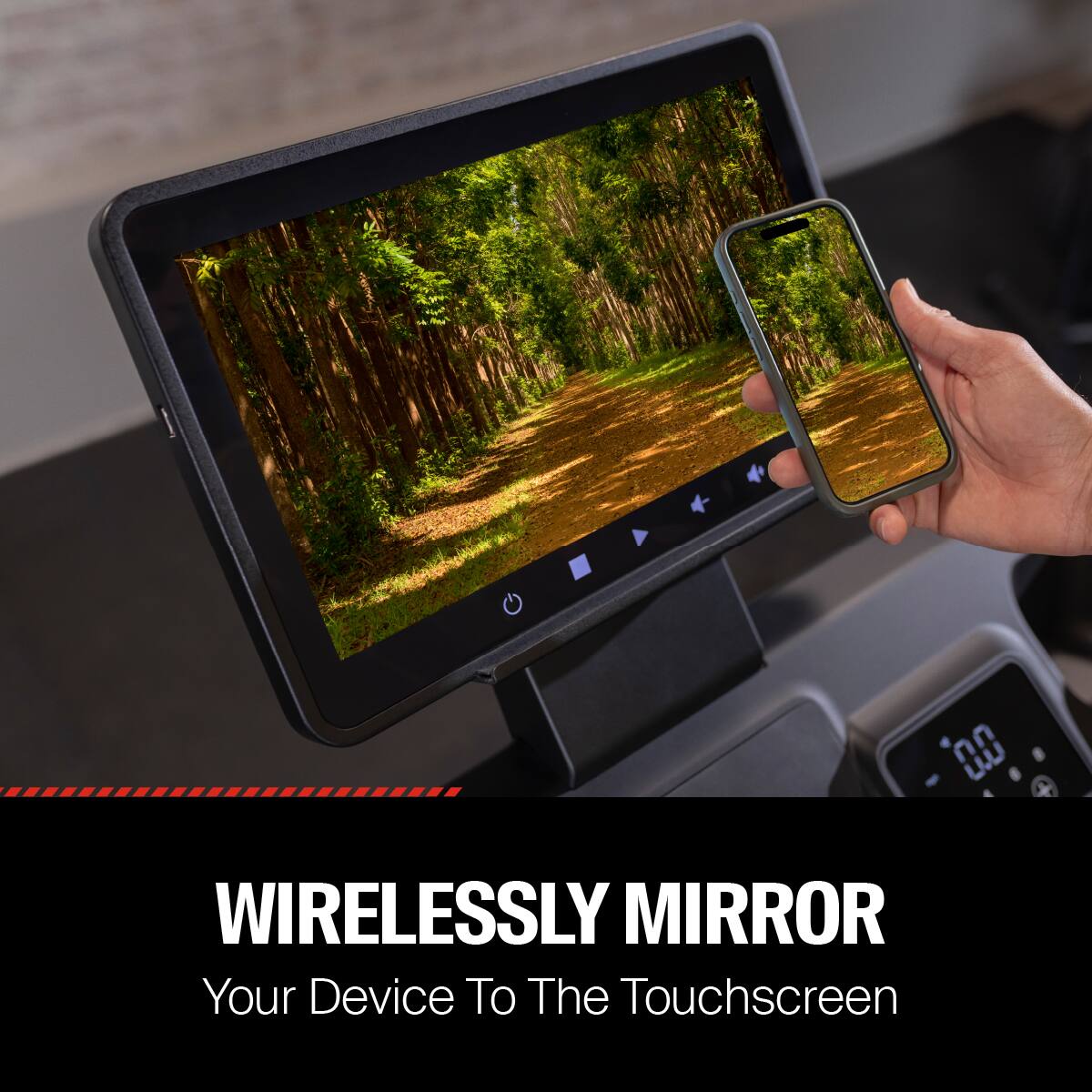 WIRELESSLY MIRROR  
Your Device To The Touchscreen